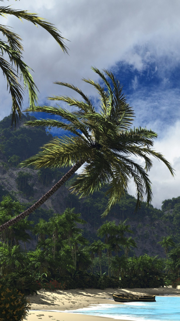 Обои тропическая зона, пальмовые рощи, природа, море, дерево в разрешении 750x1334
