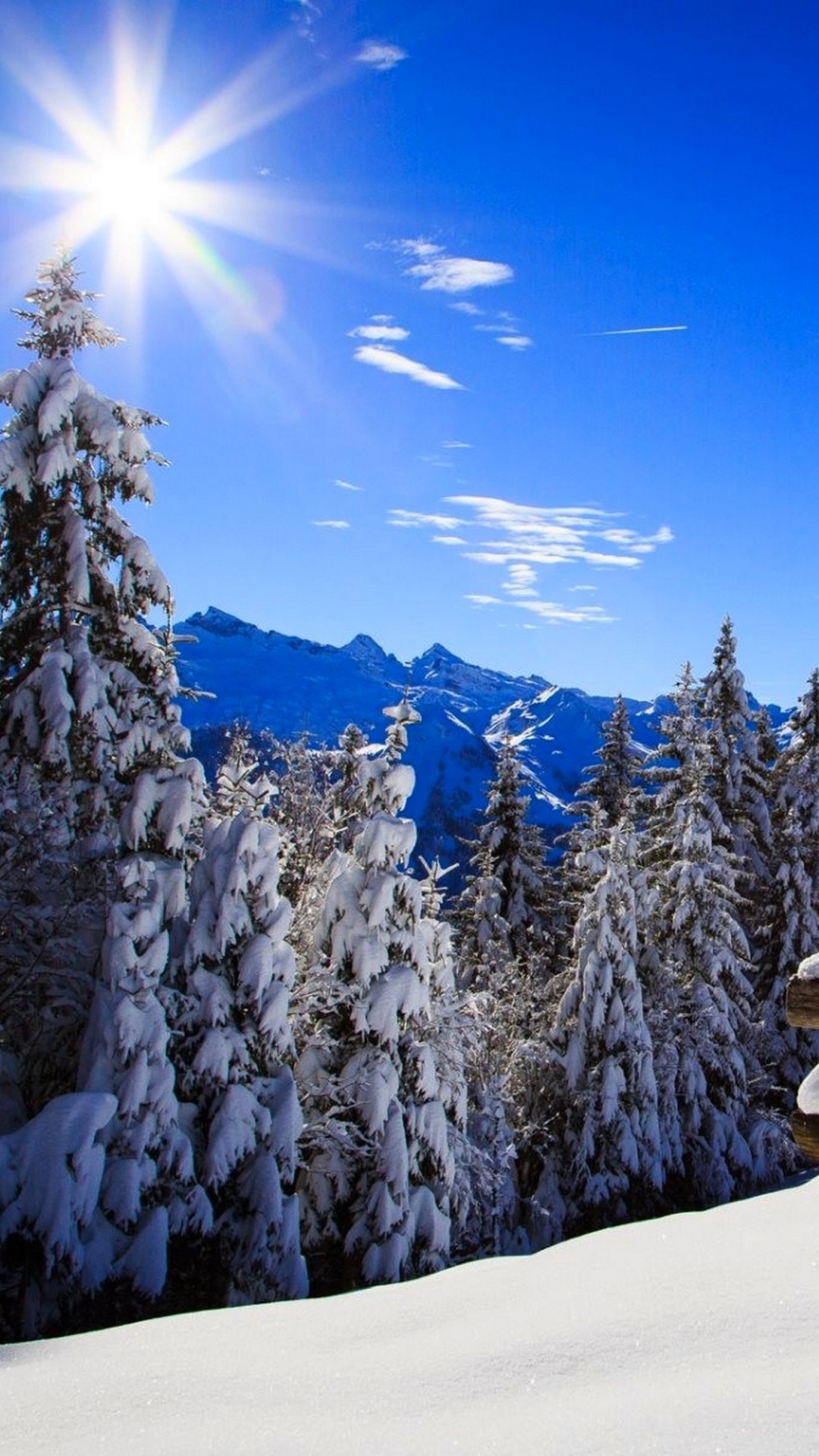 Обои снег, зима, природа, гора, дерево в разрешении 1080x1920