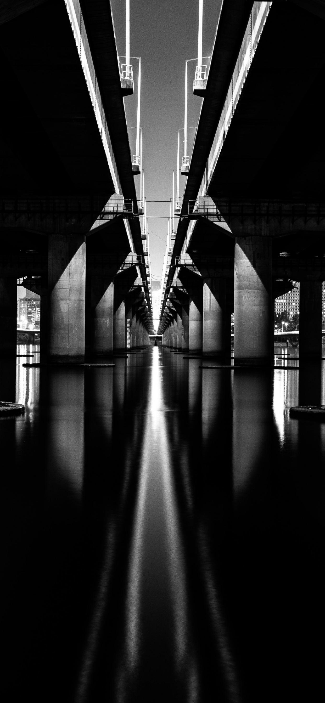 Обои вода, черный, белые, монохромный, мост в разрешении 1242x2688