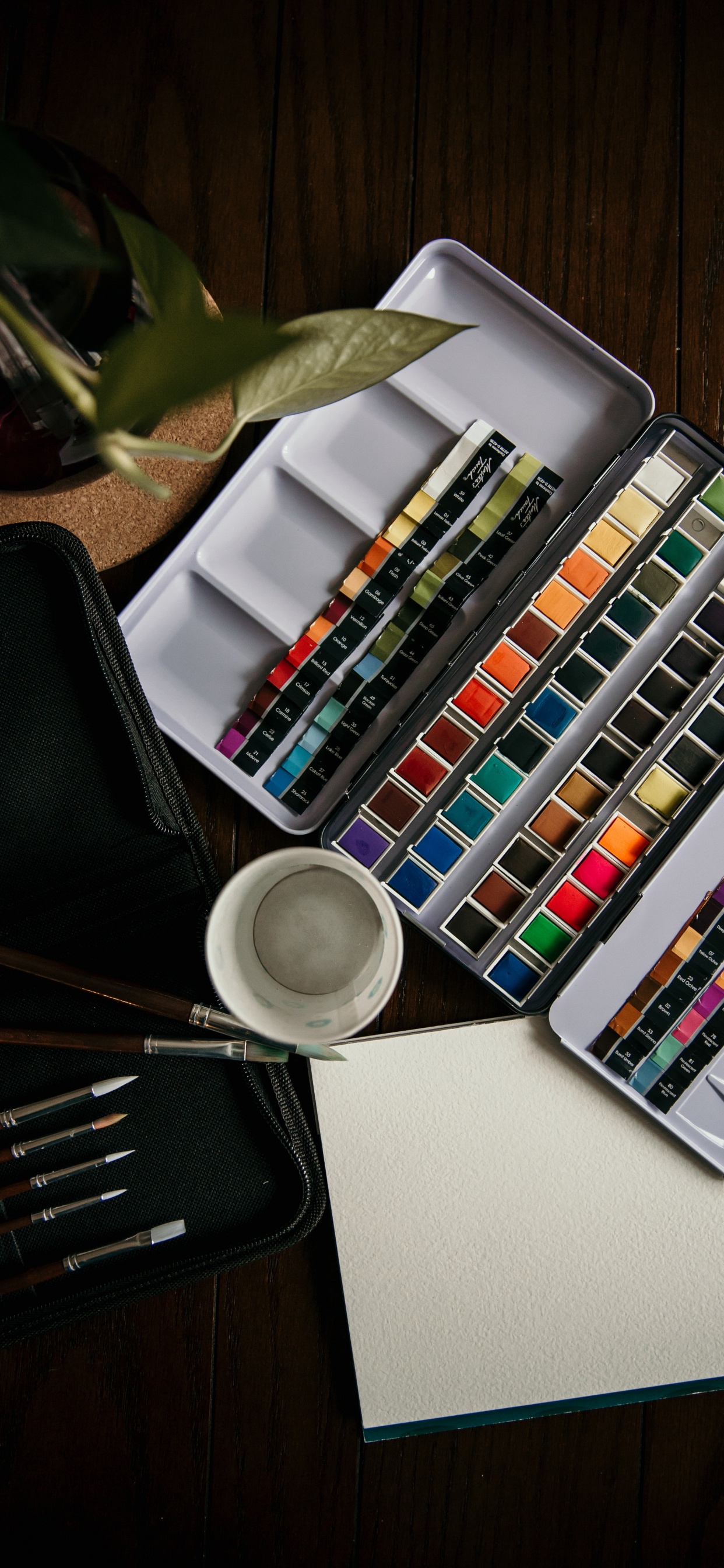 Обои акварельная живопись, живопись, артист, рисование, арт в разрешении 1242x2688