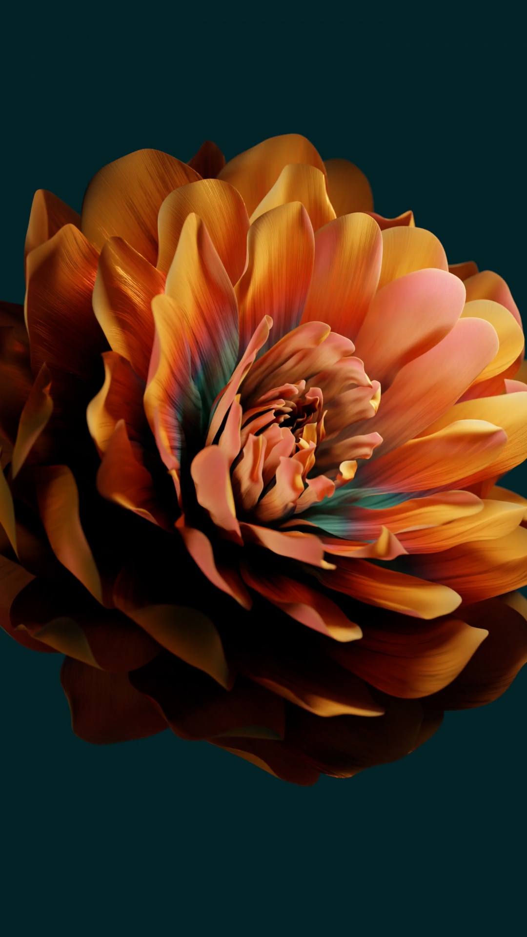 Обои Huawei, huawei emui, цветок, Xiaomi, лепесток в разрешении 1080x1920