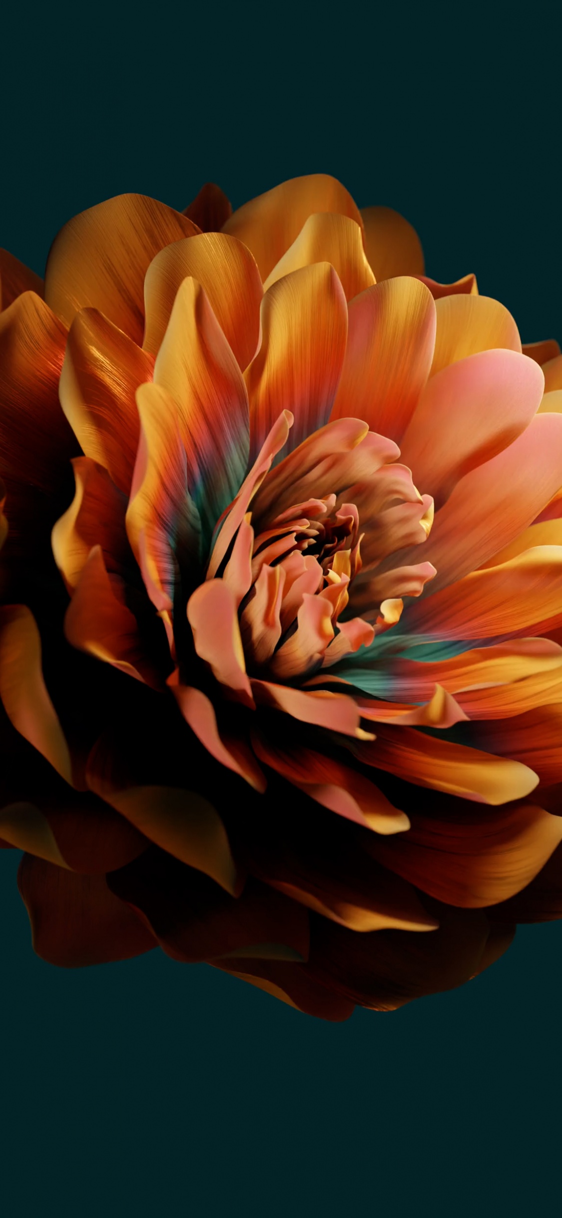 Обои Huawei, huawei emui, цветок, Xiaomi, лепесток в разрешении 1125x2436