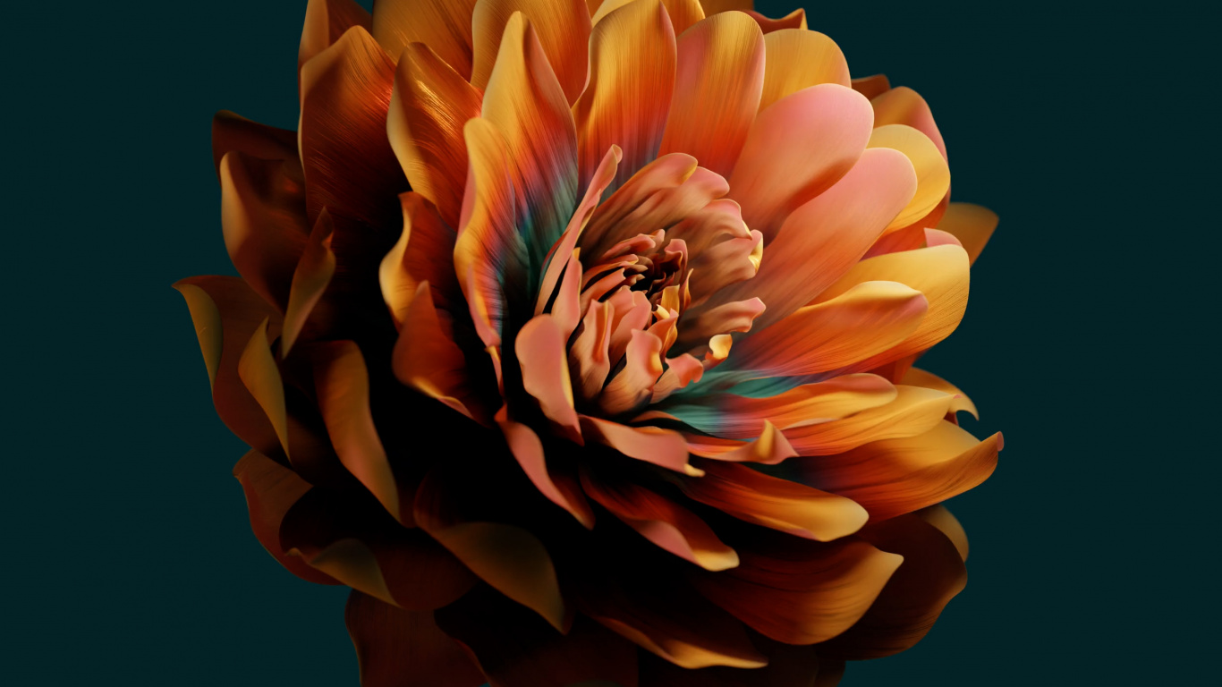 Обои Huawei, huawei emui, цветок, Xiaomi, лепесток в разрешении 1366x768