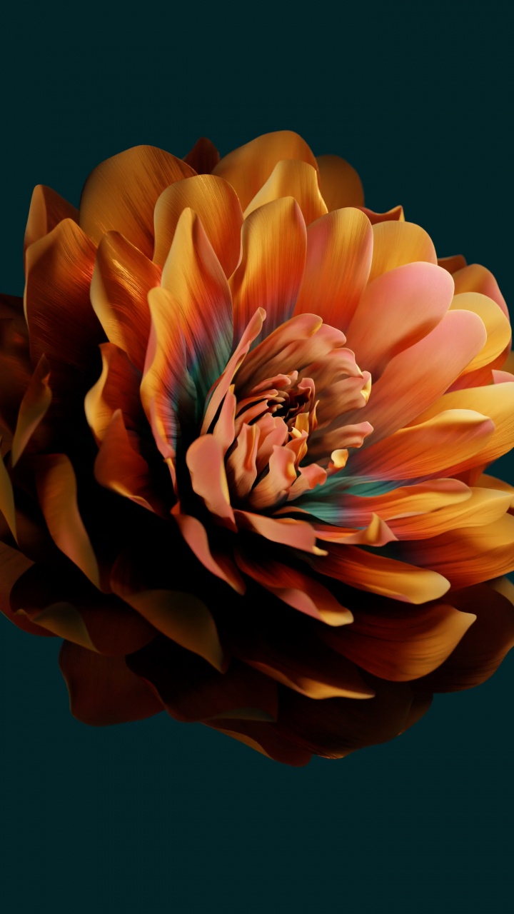 Обои Huawei, huawei emui, цветок, Xiaomi, лепесток в разрешении 720x1280