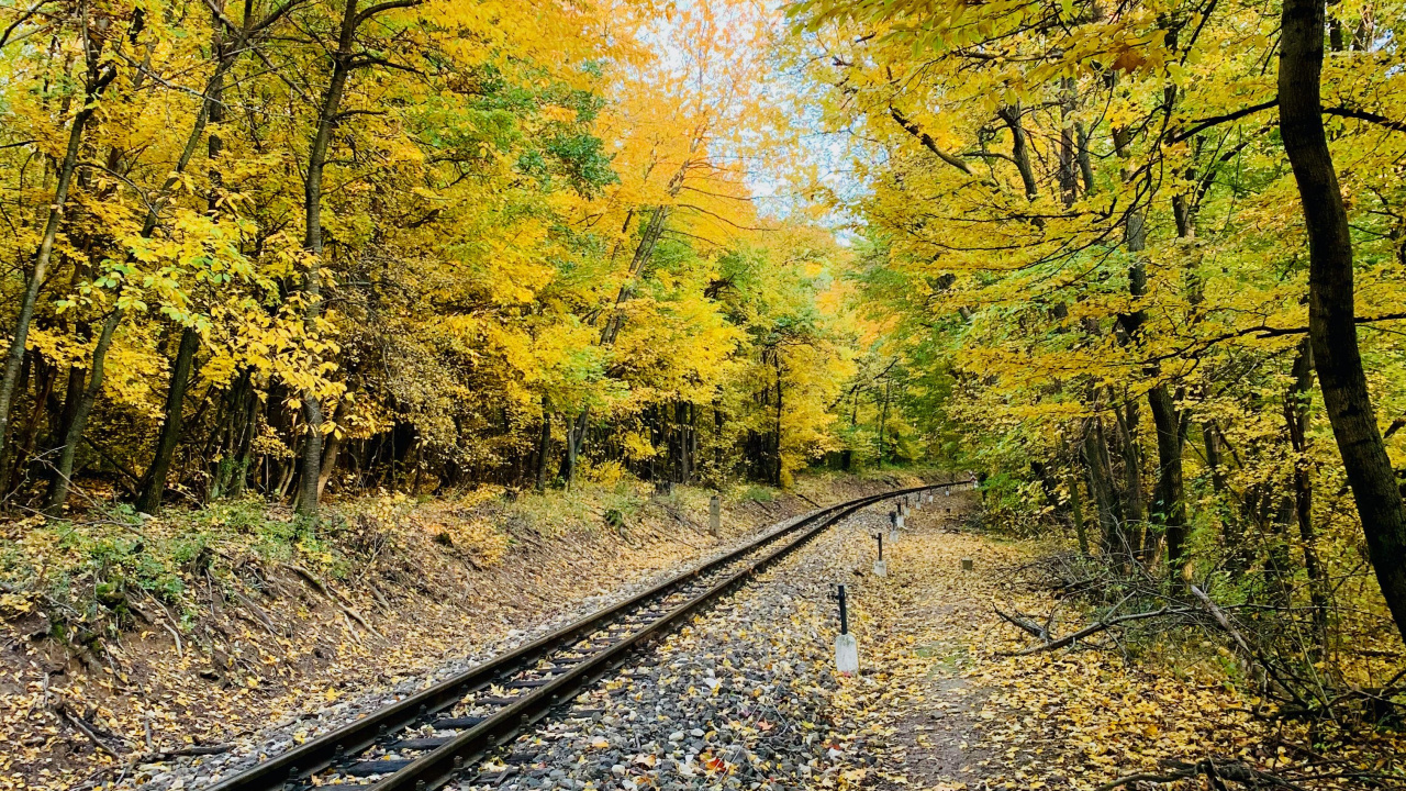 Обои трек, растение, Люди в природе, лист, природный ландшафт в разрешении 1280x720