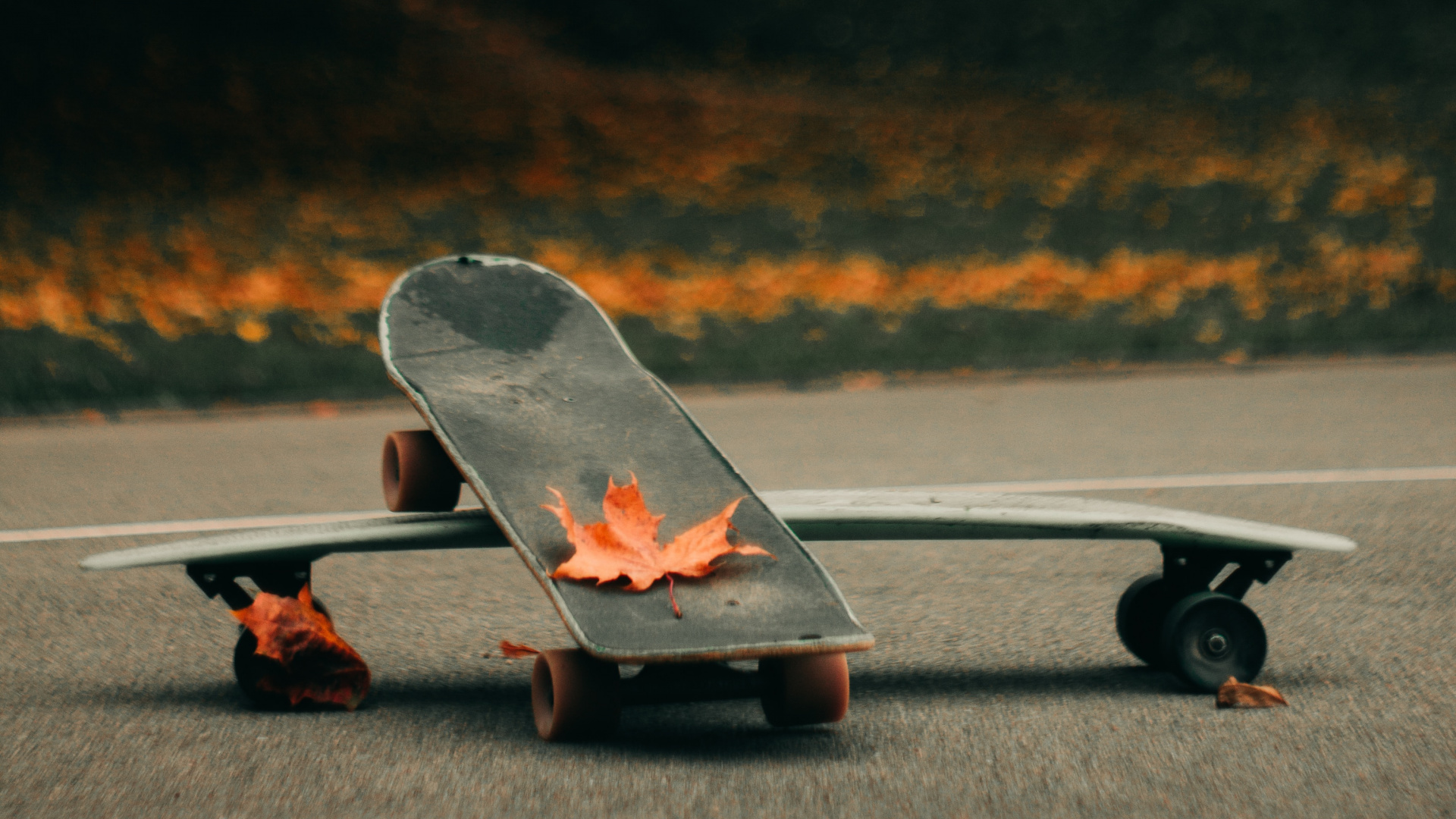 Обои скейтборд, скейтбординг, Лонгбординг, Лонгборд, boardsport в разрешении 1920x1080