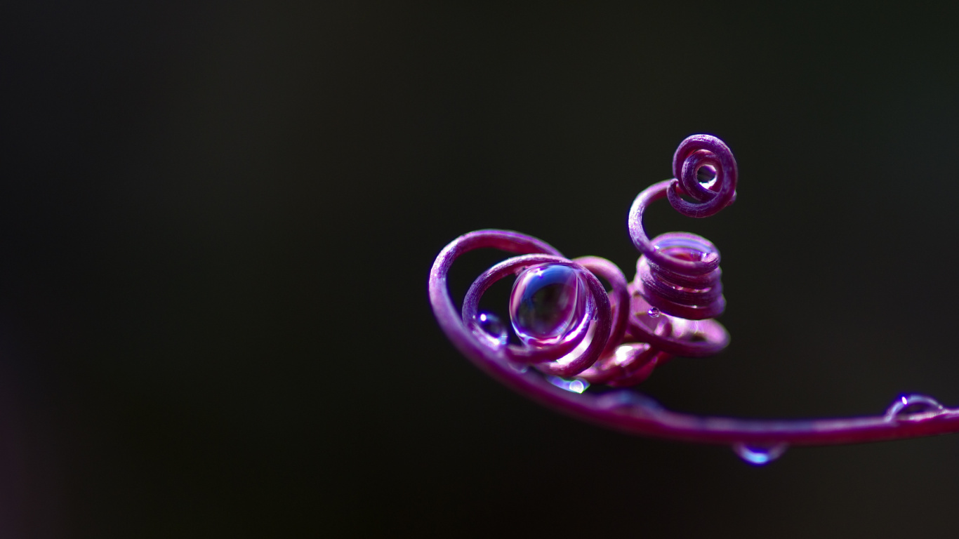 Обои розовый, пурпур, Фиолетовый, вода, пурпурный цвет в разрешении 1366x768