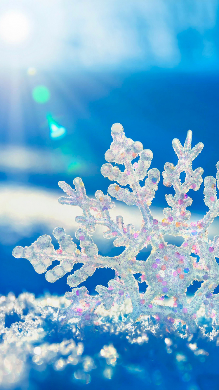 Обои зима, растение, жидкий, синий, дерево в разрешении 750x1334