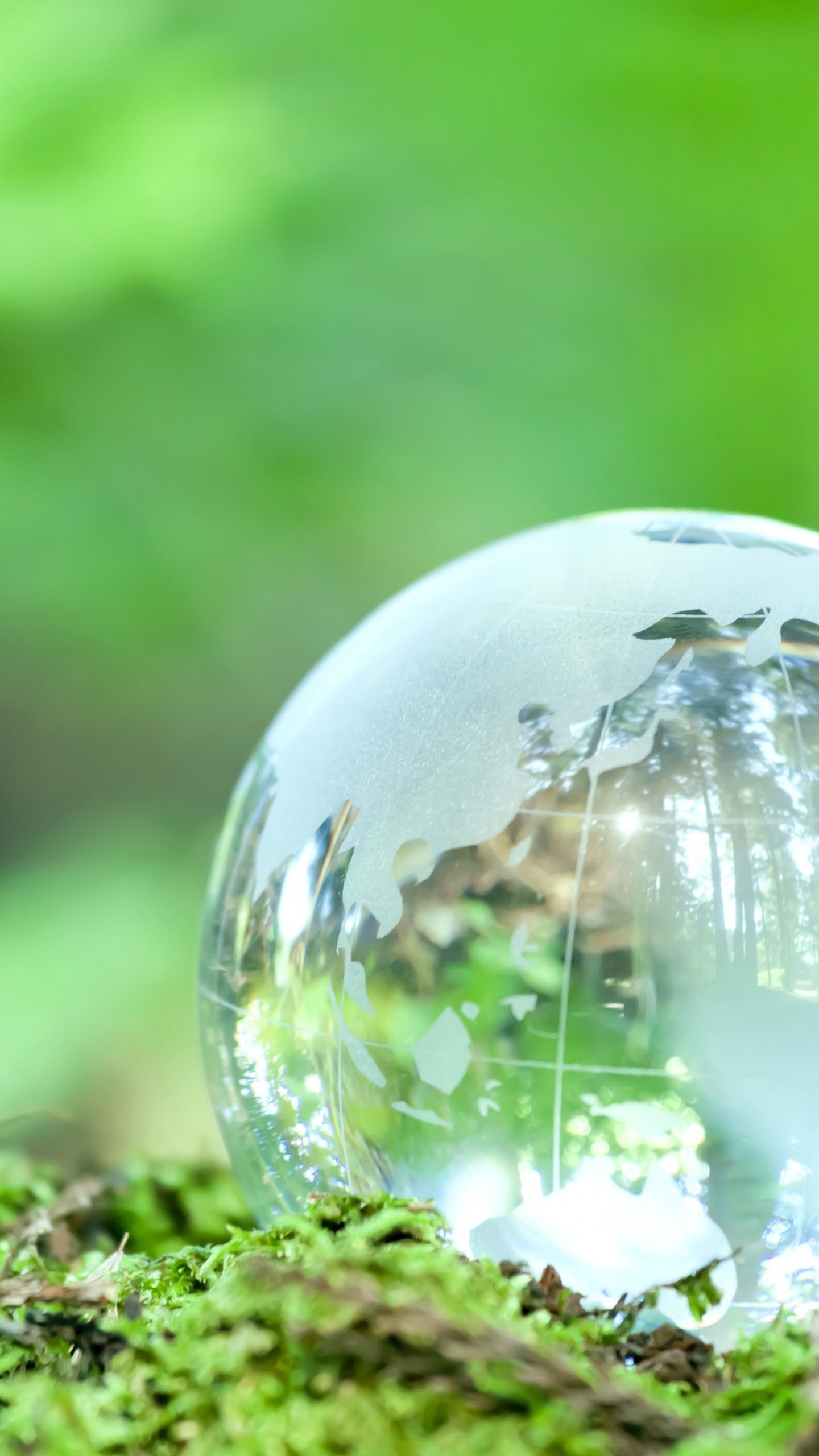 Обои вода, система, растение, лист, природный ландшафт в разрешении 1440x2560