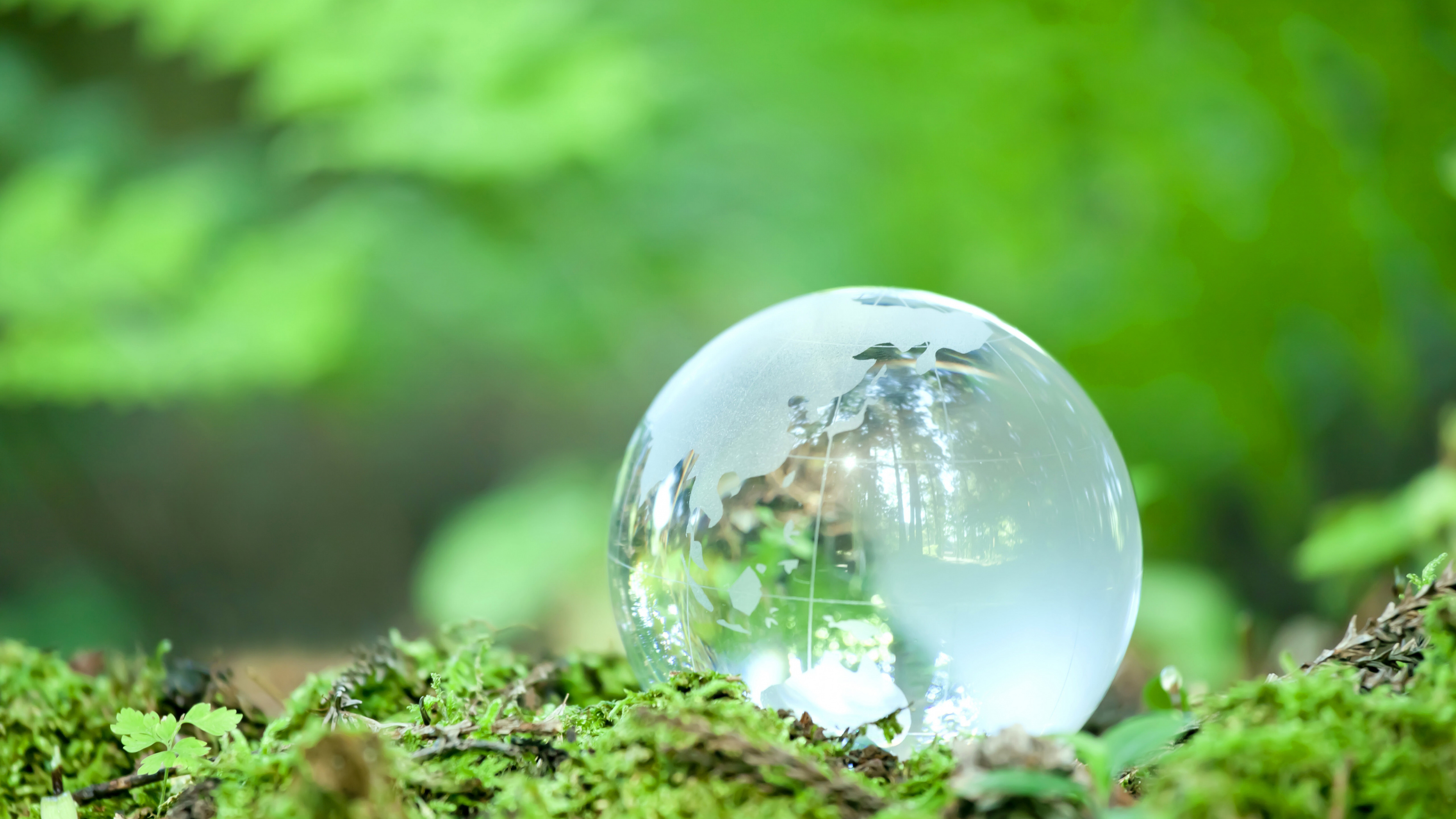 Обои вода, система, растение, лист, природный ландшафт в разрешении 3840x2160