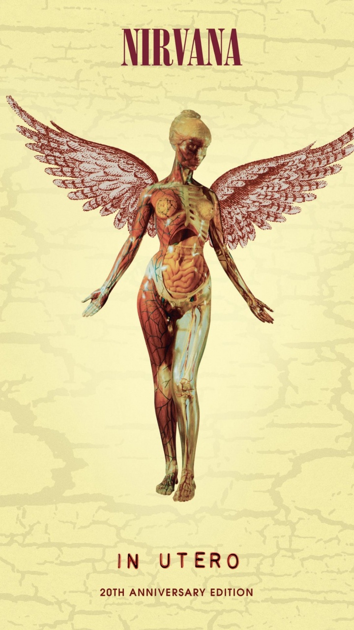 Обои нирвана, Альбом, граммофонная пластинка, иллюстрация, арт в разрешении 720x1280