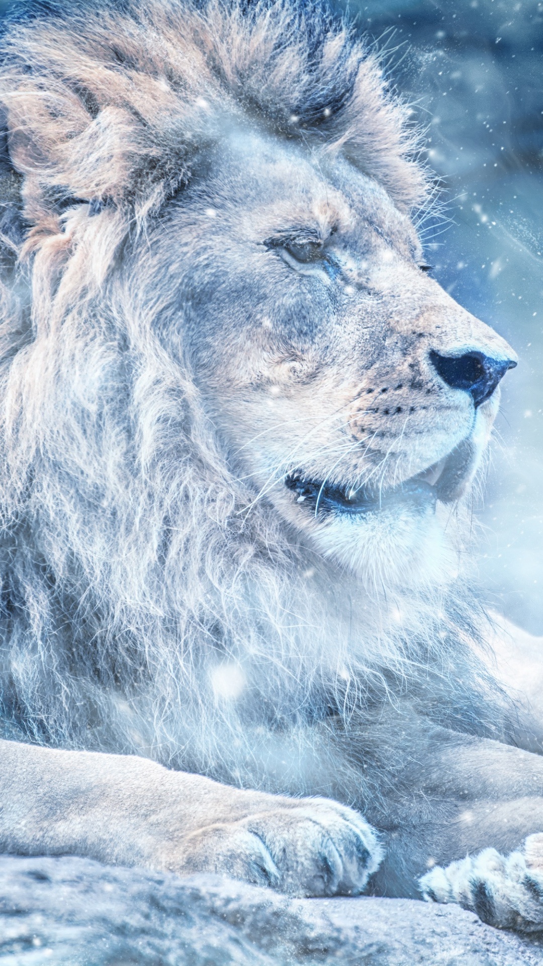 Обои Лев, большая кошка, живая природа, кошачьих, наземные животные в разрешении 1080x1920