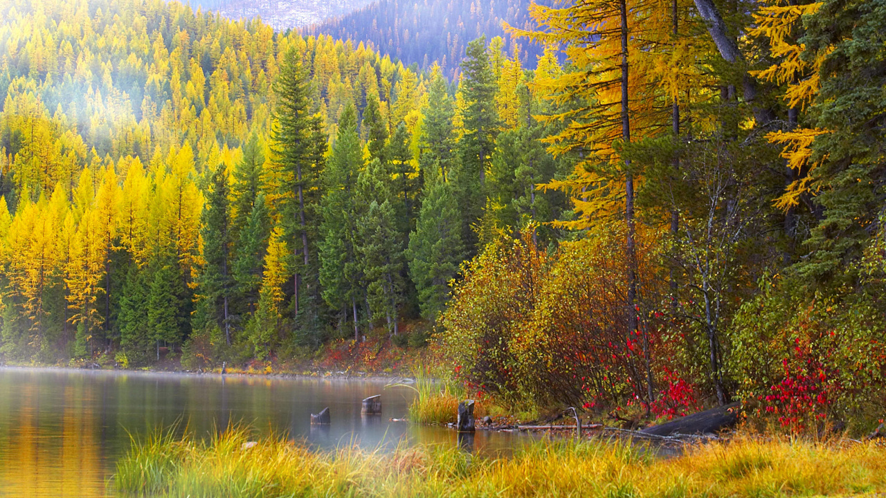 Обои гора, осень, природа, отражение, дикая местность в разрешении 1280x720