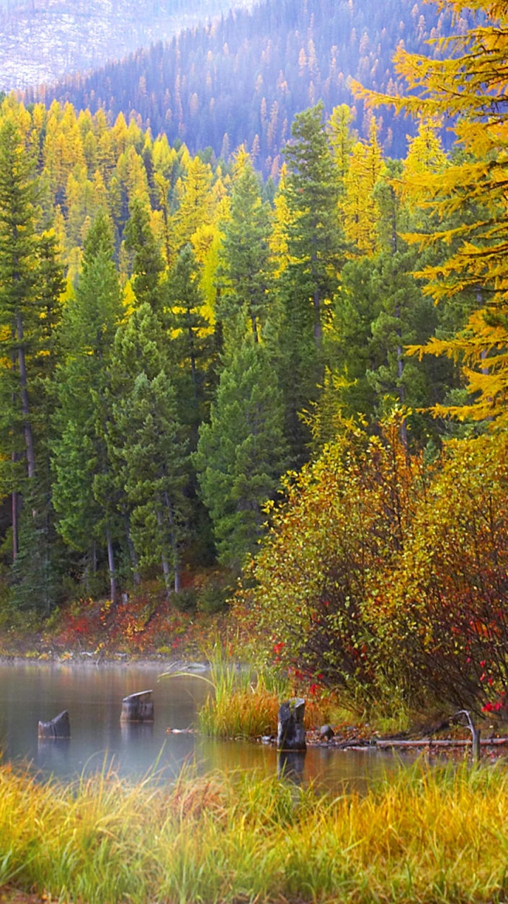 Обои гора, осень, природа, отражение, дикая местность в разрешении 720x1280