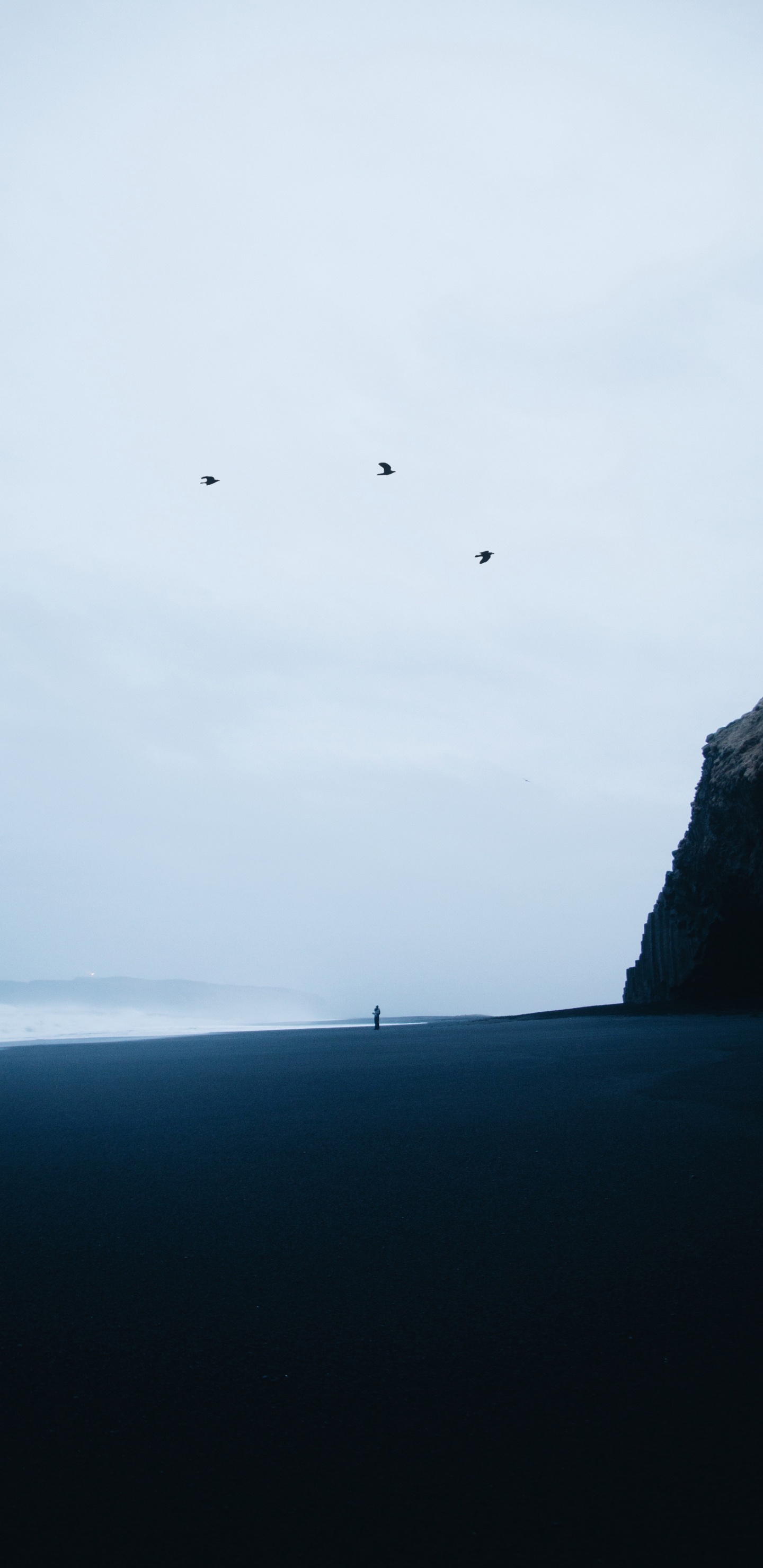 Обои море, горизонт, океан, обрыв, побережье в разрешении 1440x2960