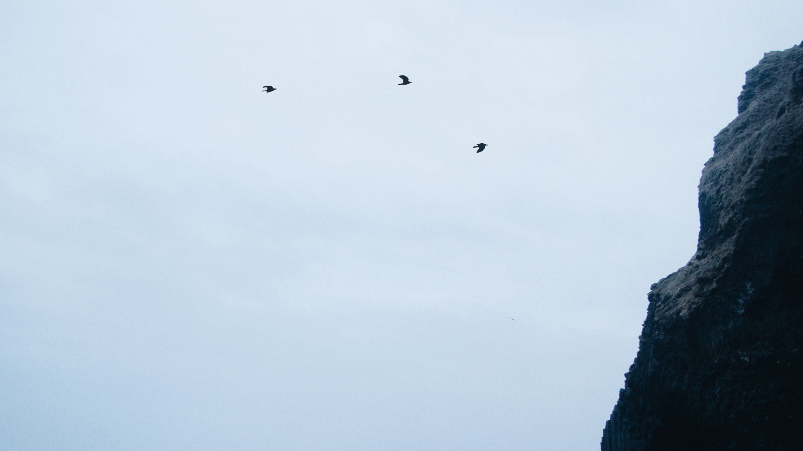 Обои море, горизонт, океан, обрыв, побережье в разрешении 2560x1440