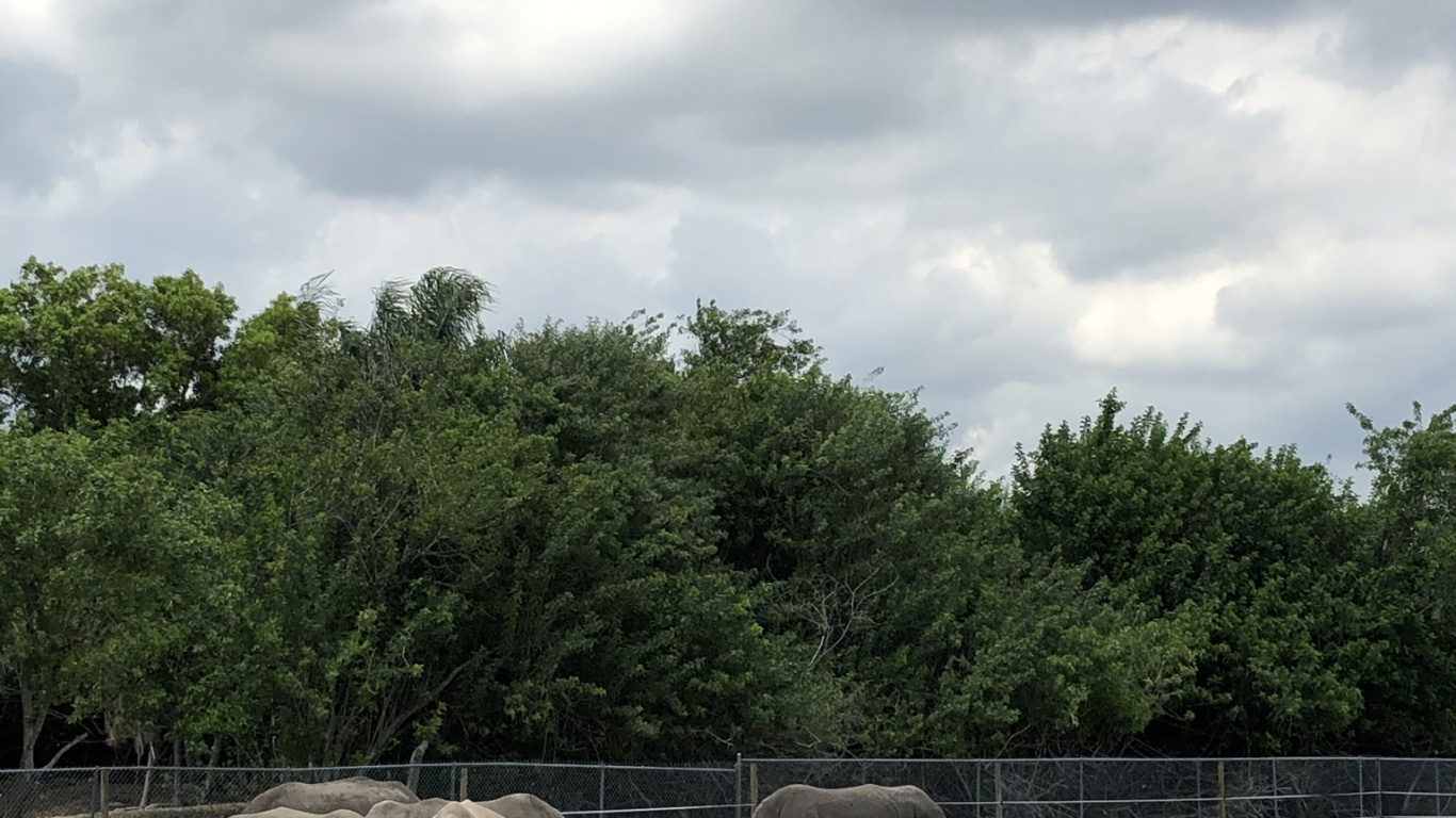 Обои сенокосное угодье, природный заповедник, зебра, природный ландшафт, пастбище в разрешении 1366x768