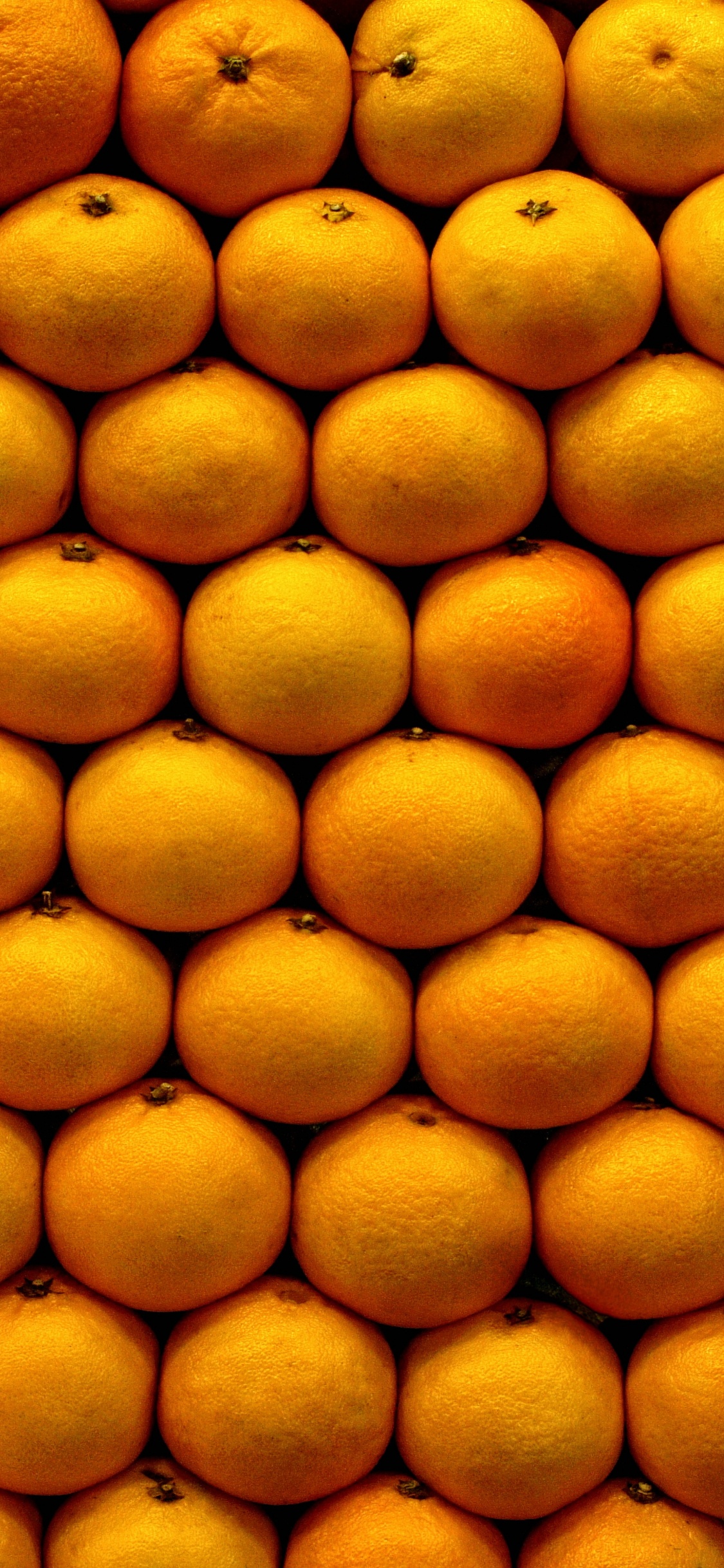 Обои мандарин, фрукты, природные продукты, Апельсин, пища в разрешении 1125x2436