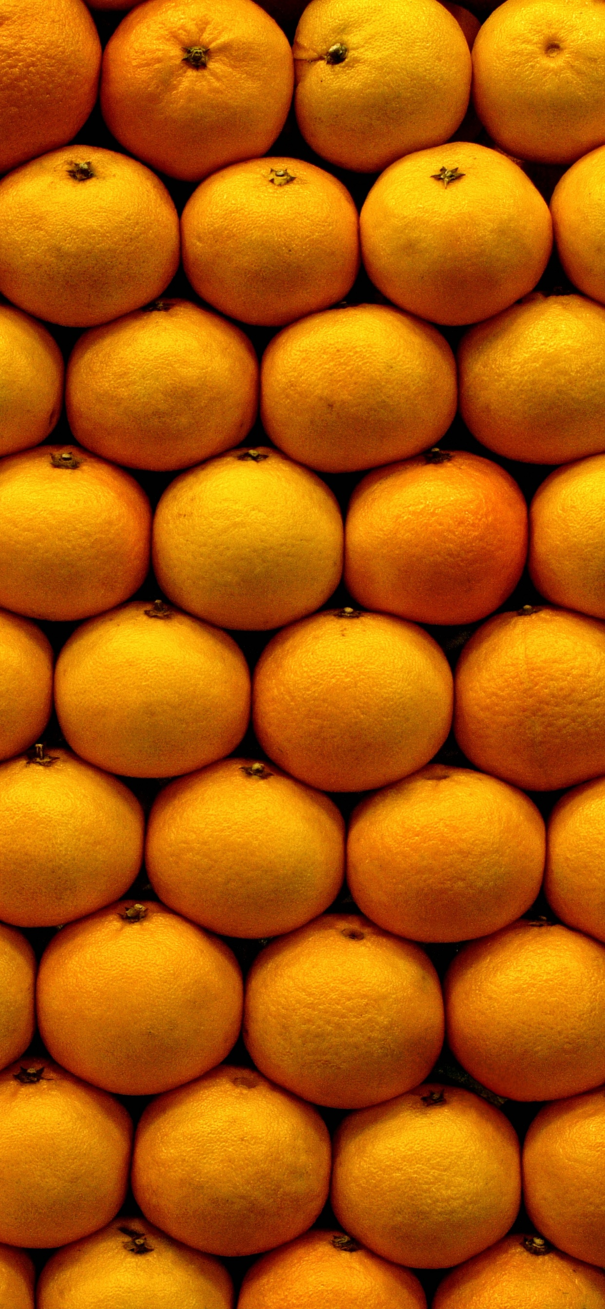 Обои мандарин, фрукты, природные продукты, Апельсин, пища в разрешении 1242x2688