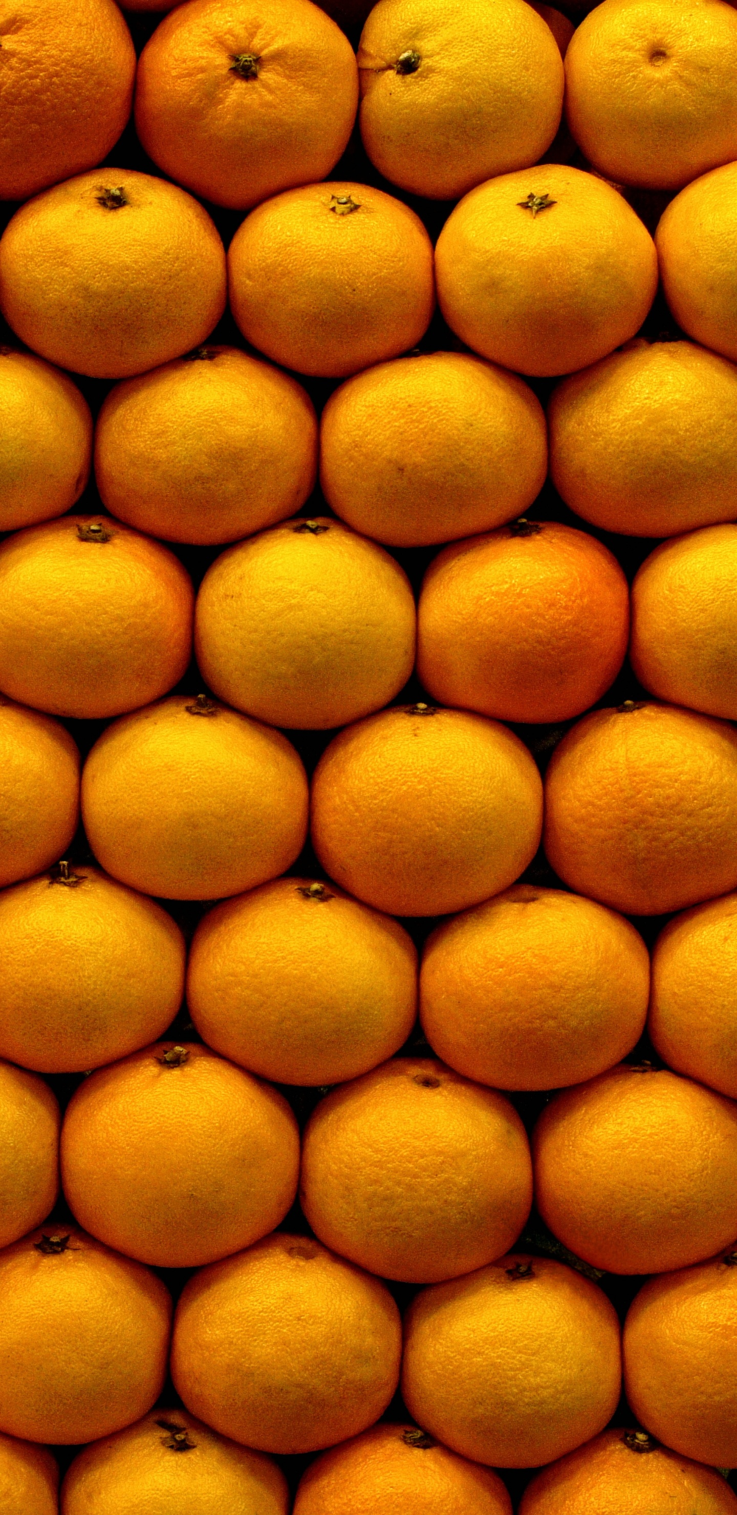 Обои мандарин, фрукты, природные продукты, Апельсин, пища в разрешении 1440x2960