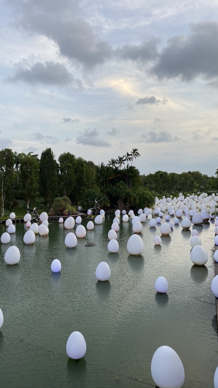 Обои Сингапур, отражение, гидроресурсы, туризм, вода в разрешении 720x1280