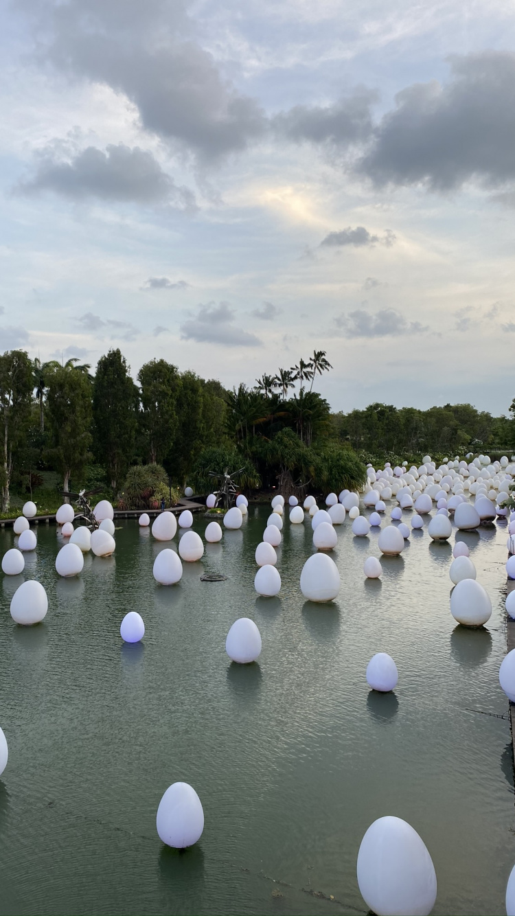 Обои Сингапур, отражение, гидроресурсы, туризм, вода в разрешении 750x1334