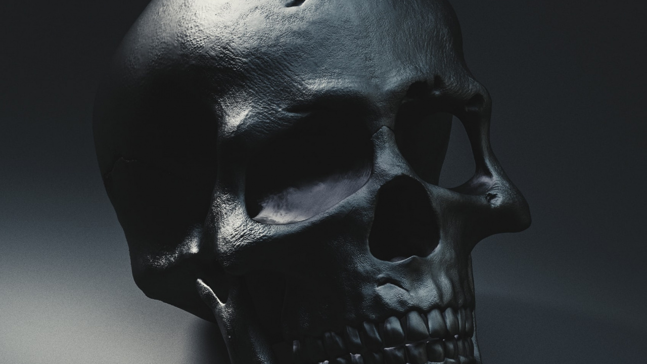 Обои черный череп, скелет, человеческий череп, Череп и скрещенные кости, черный в разрешении 1280x720