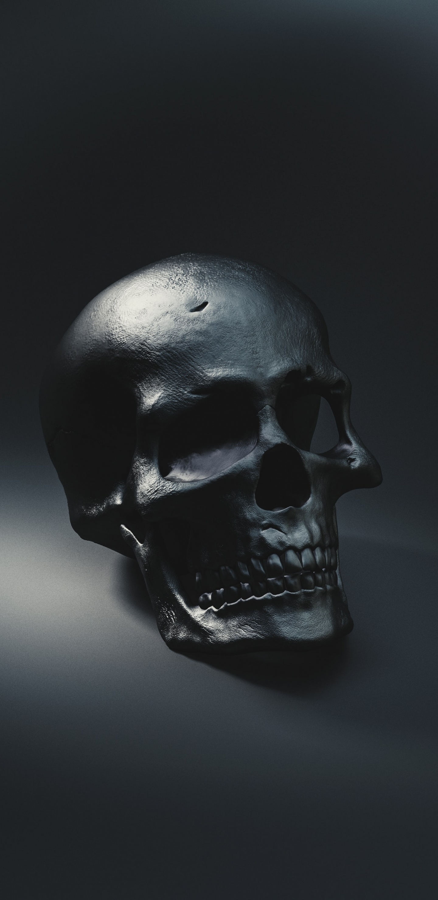 Обои черный череп, скелет, человеческий череп, Череп и скрещенные кости, черный в разрешении 1440x2960