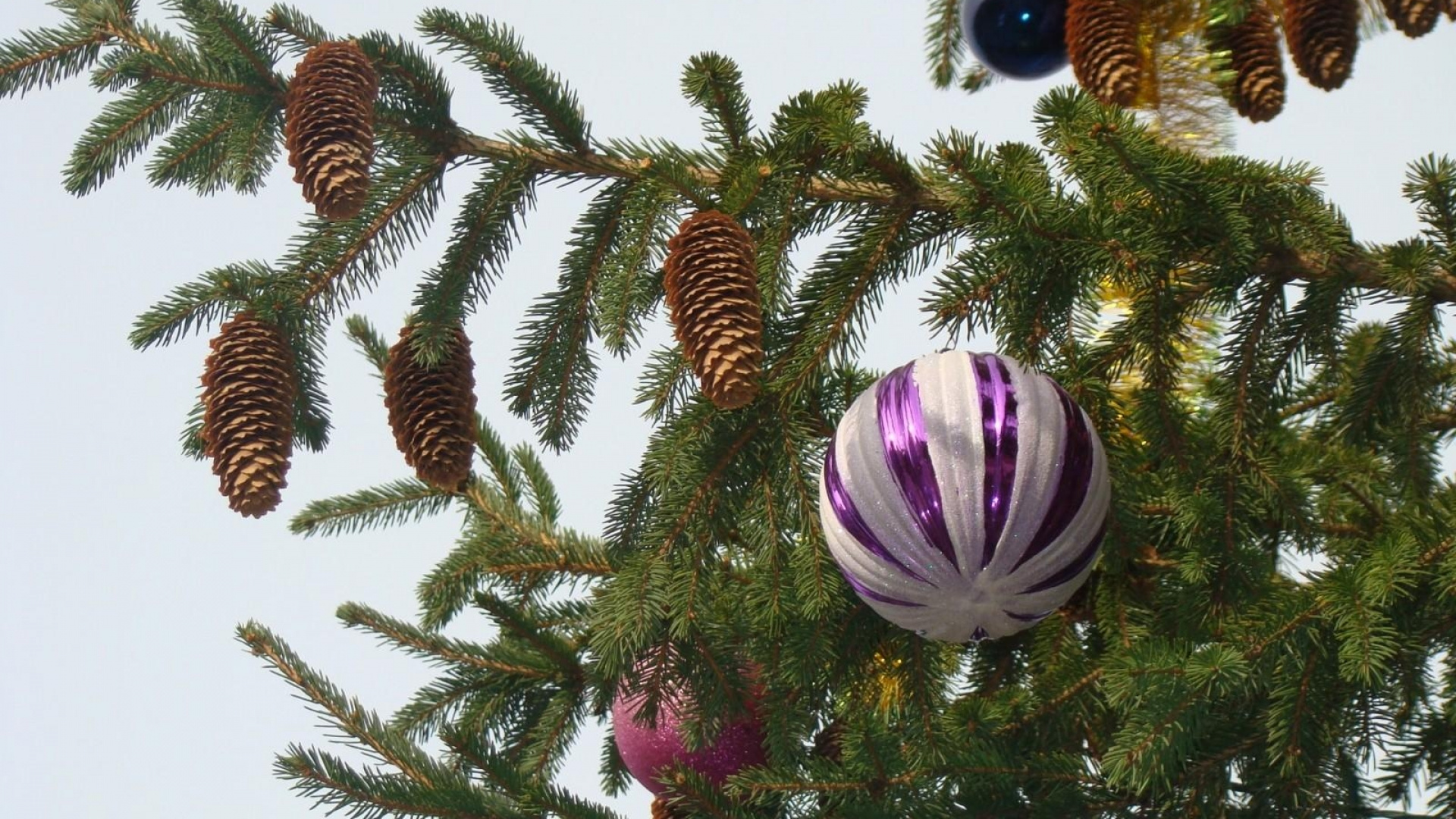 Обои елка, Новый год, Рождественские украшения, ветвь, пихта в разрешении 1920x1080