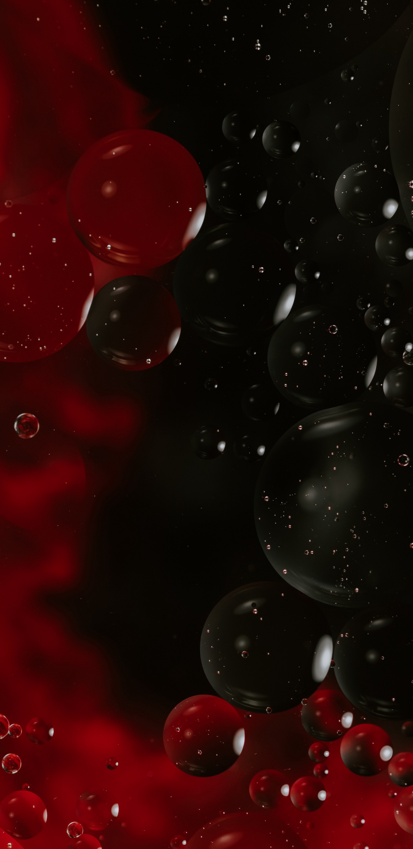 Обои падение, красный цвет, вода, жидкий, дерево в разрешении 1440x2960