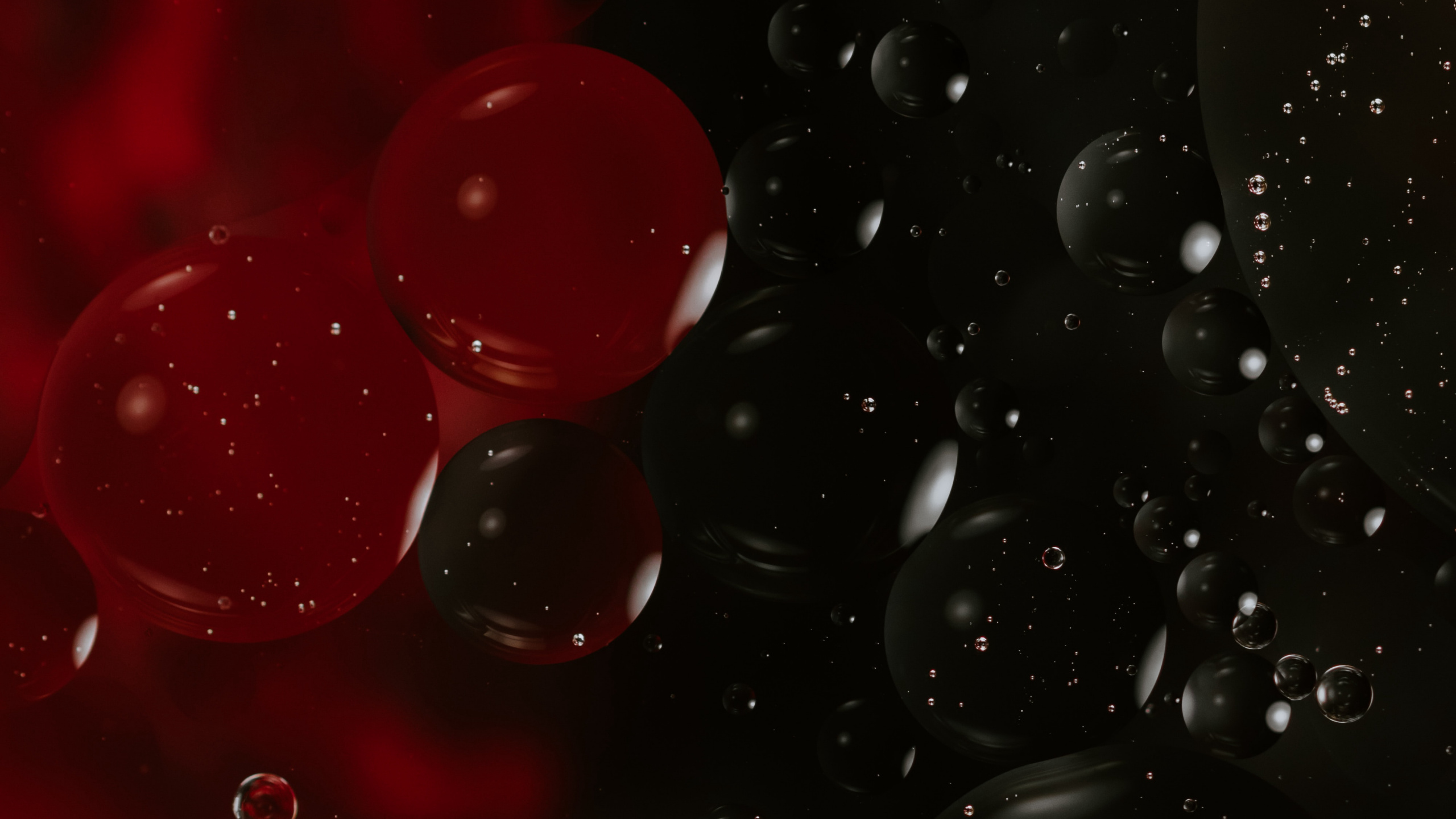 Обои падение, красный цвет, вода, жидкий, дерево в разрешении 2560x1440