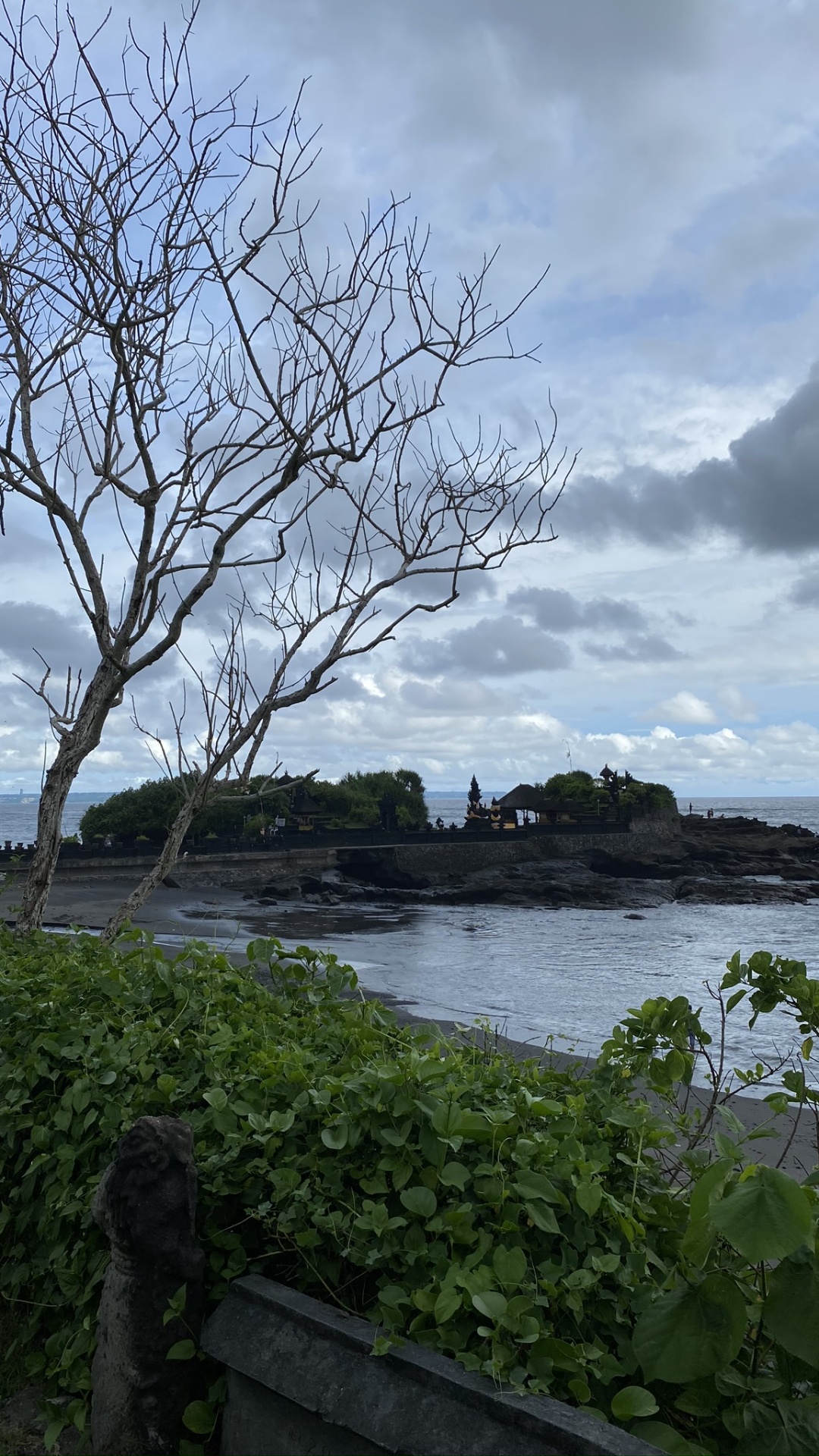 Обои Индонезия, бали, вода, наука, биология в разрешении 1080x1920