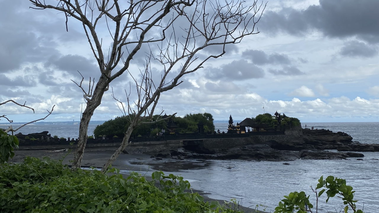 Обои Индонезия, бали, вода, наука, биология в разрешении 1280x720