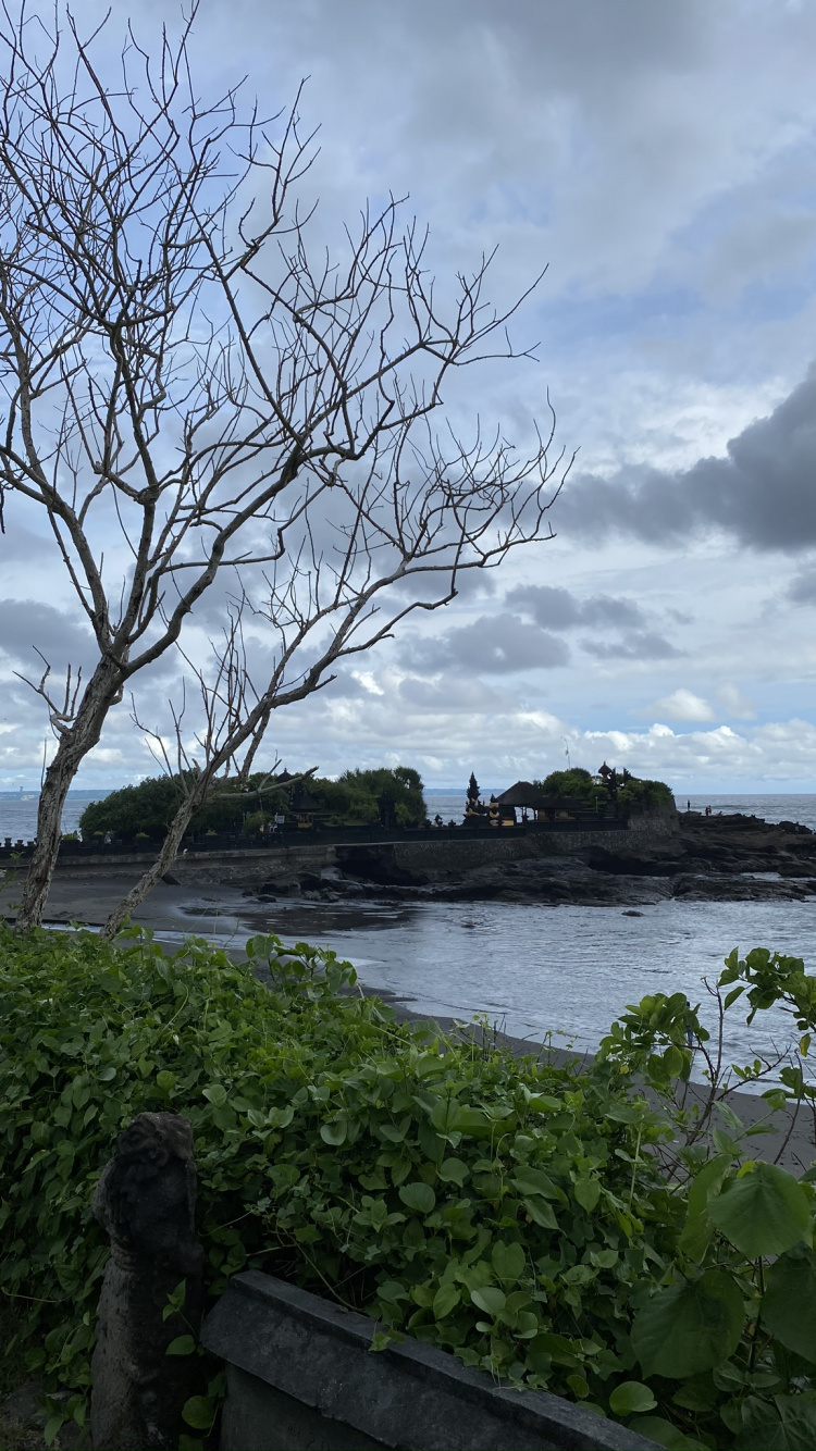 Обои Индонезия, бали, вода, наука, биология в разрешении 750x1334