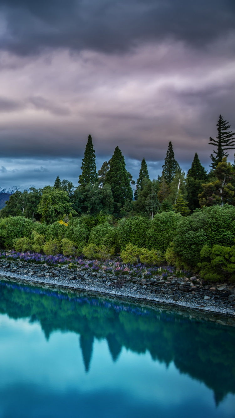 Обои природа, отражение, вода, гидроресурсы, облако в разрешении 750x1334