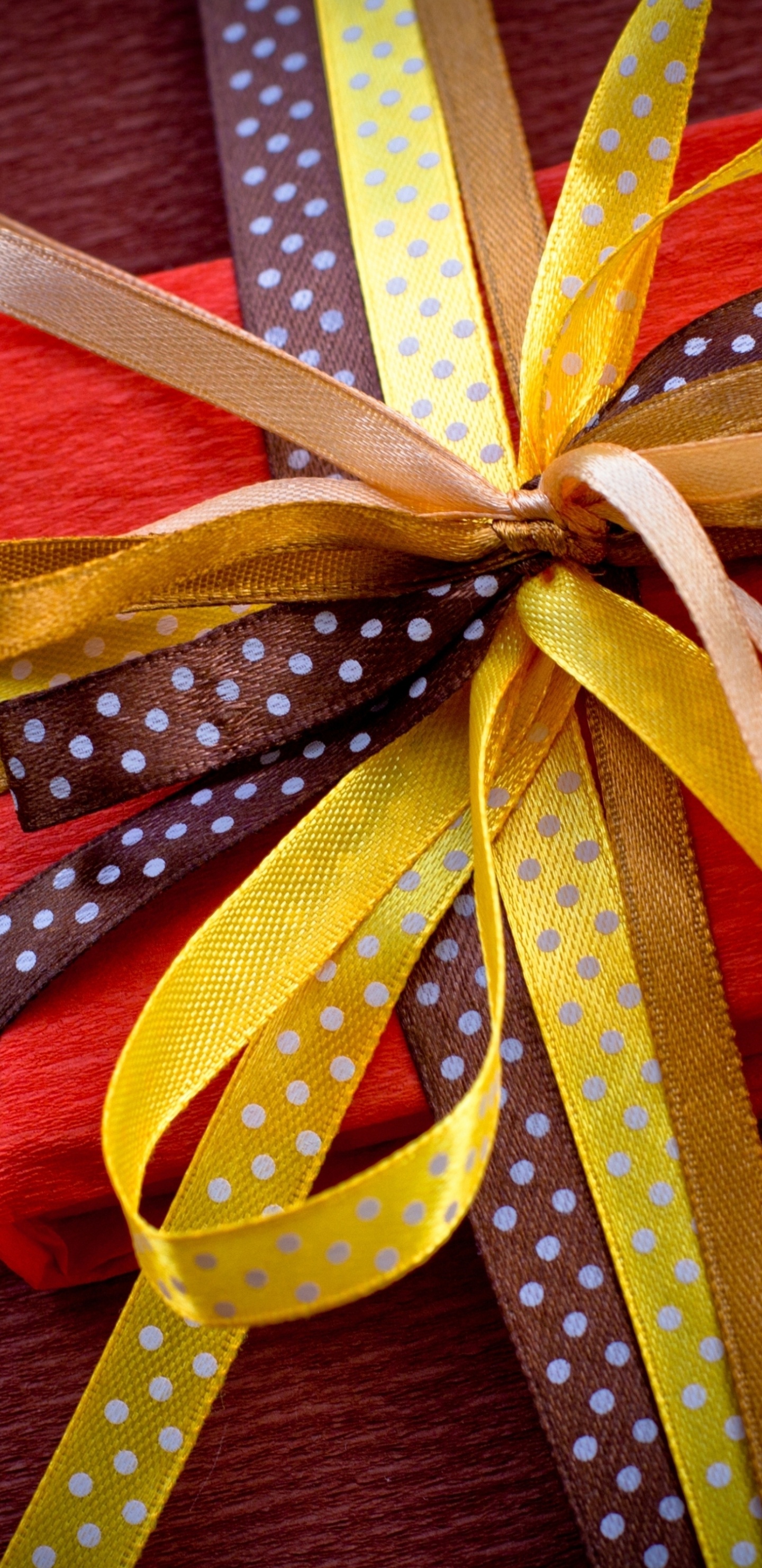 Обои подарок, лента, настоящее время, подарочная упаковка, желтый в разрешении 1440x2960