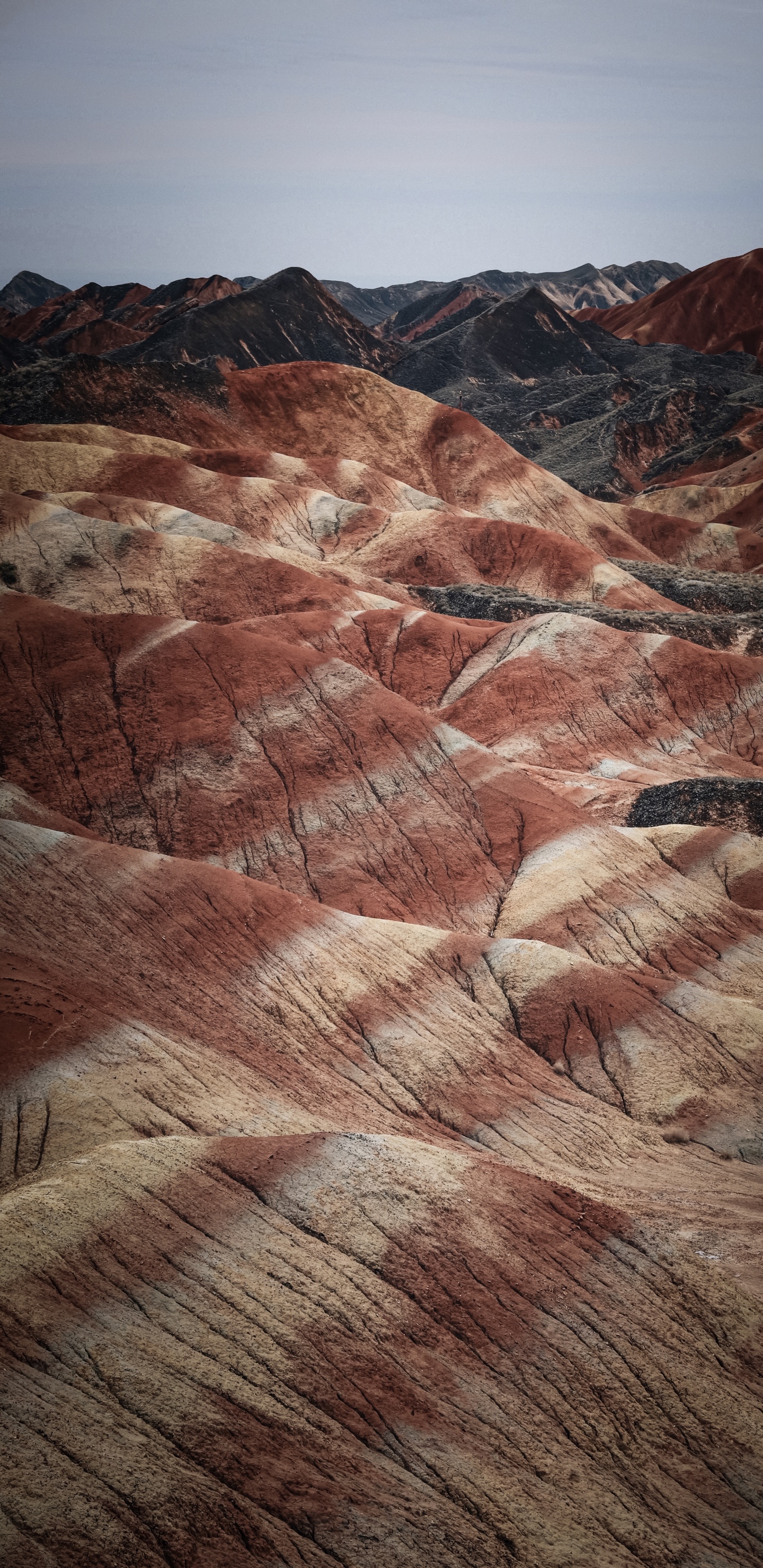 Обои бесплодные земли, шумиха о путешествии аяхуаски, коричневый цвет, гора, коренная порода в разрешении 1440x2960