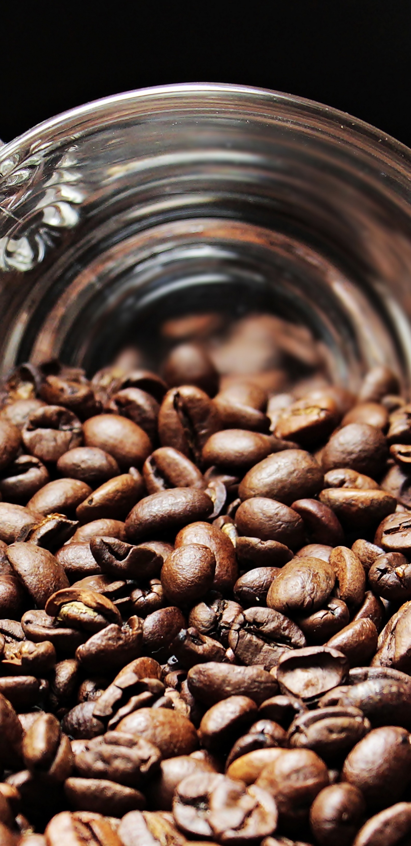 Обои кофейное зерно, кофе, обжарка кофе, обжиг, кофеин в разрешении 1440x2960