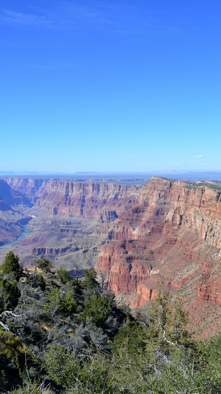 Обои национальный парк Гранд каньон, национальный парк, Гранд Каньон Виллидж, каньон, откос в разрешении 750x1334