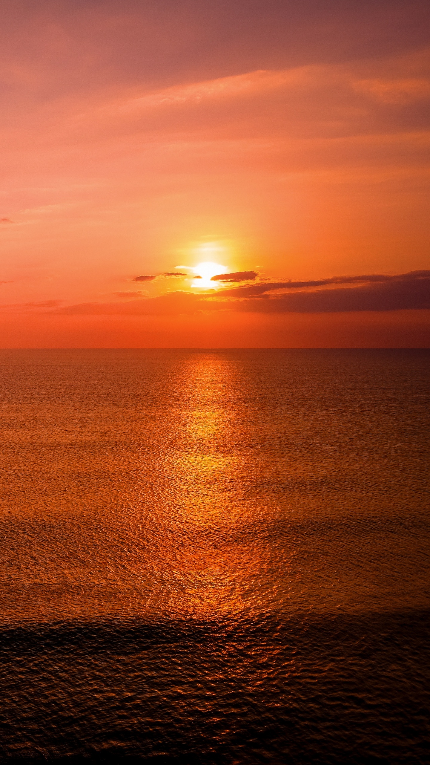 Обои море, закат, горизонт, восход солнца, вечер в разрешении 1440x2560