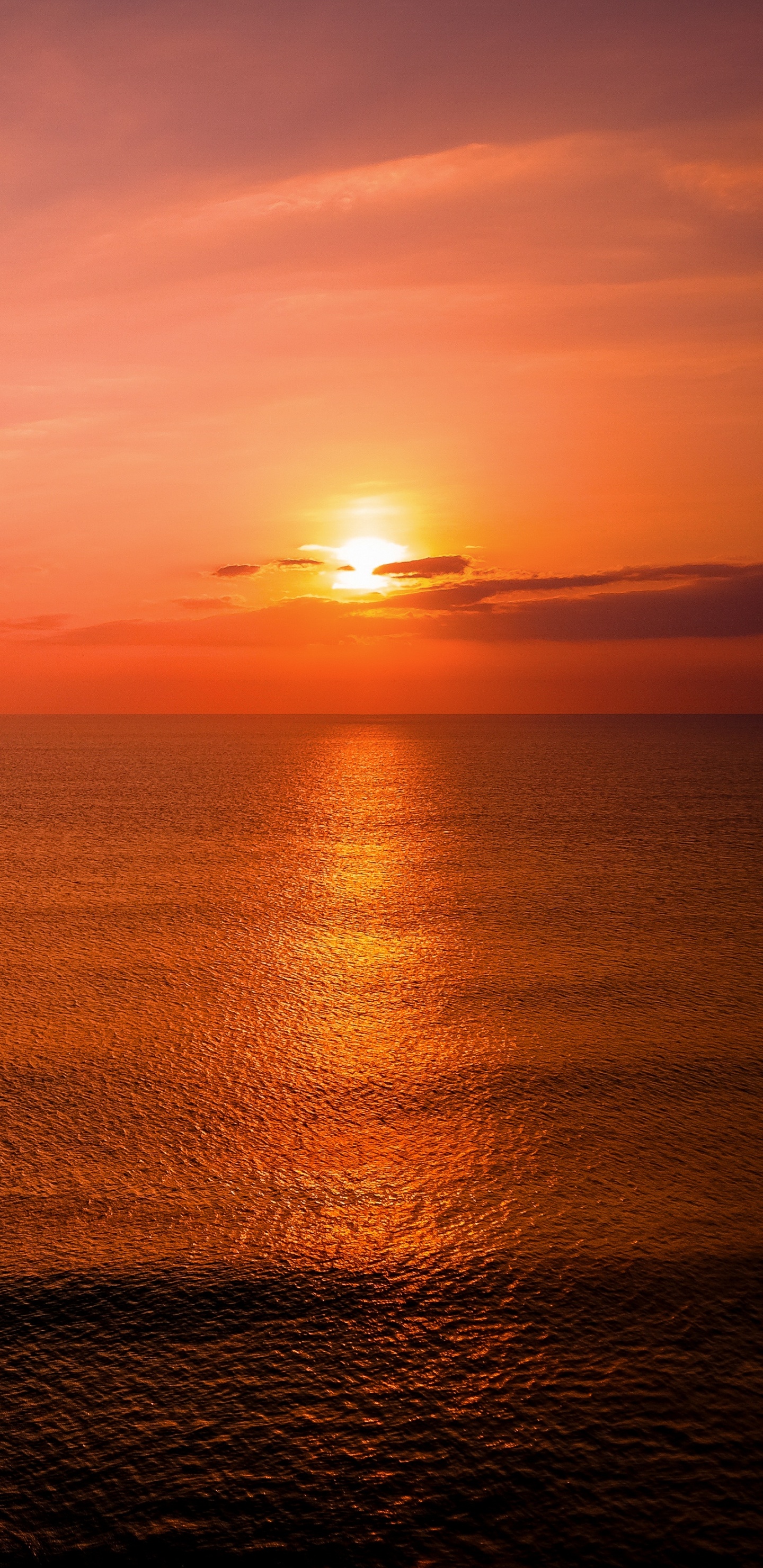 Обои море, закат, горизонт, восход солнца, вечер в разрешении 1440x2960