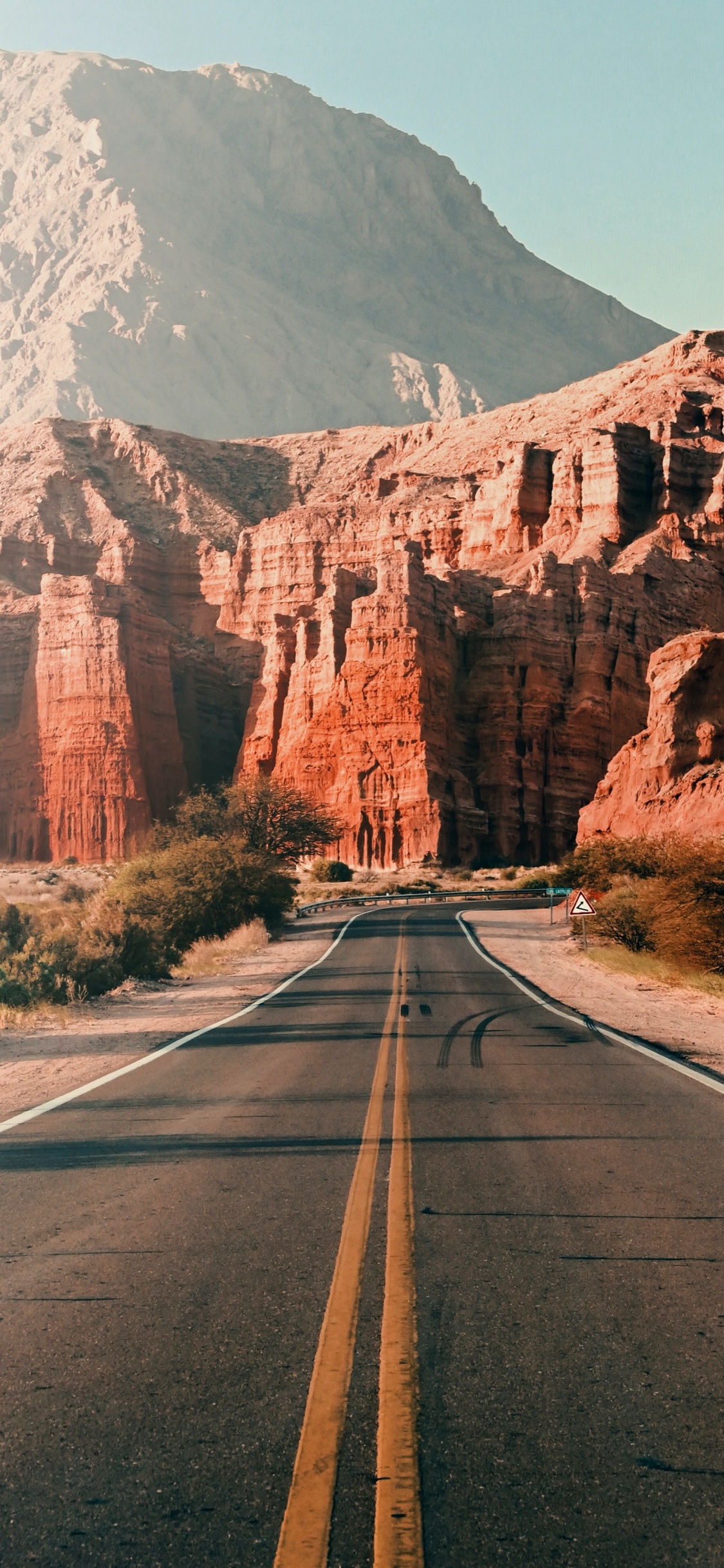 Обои замки, растение, гора, экорегион, природный ландшафт в разрешении 1125x2436