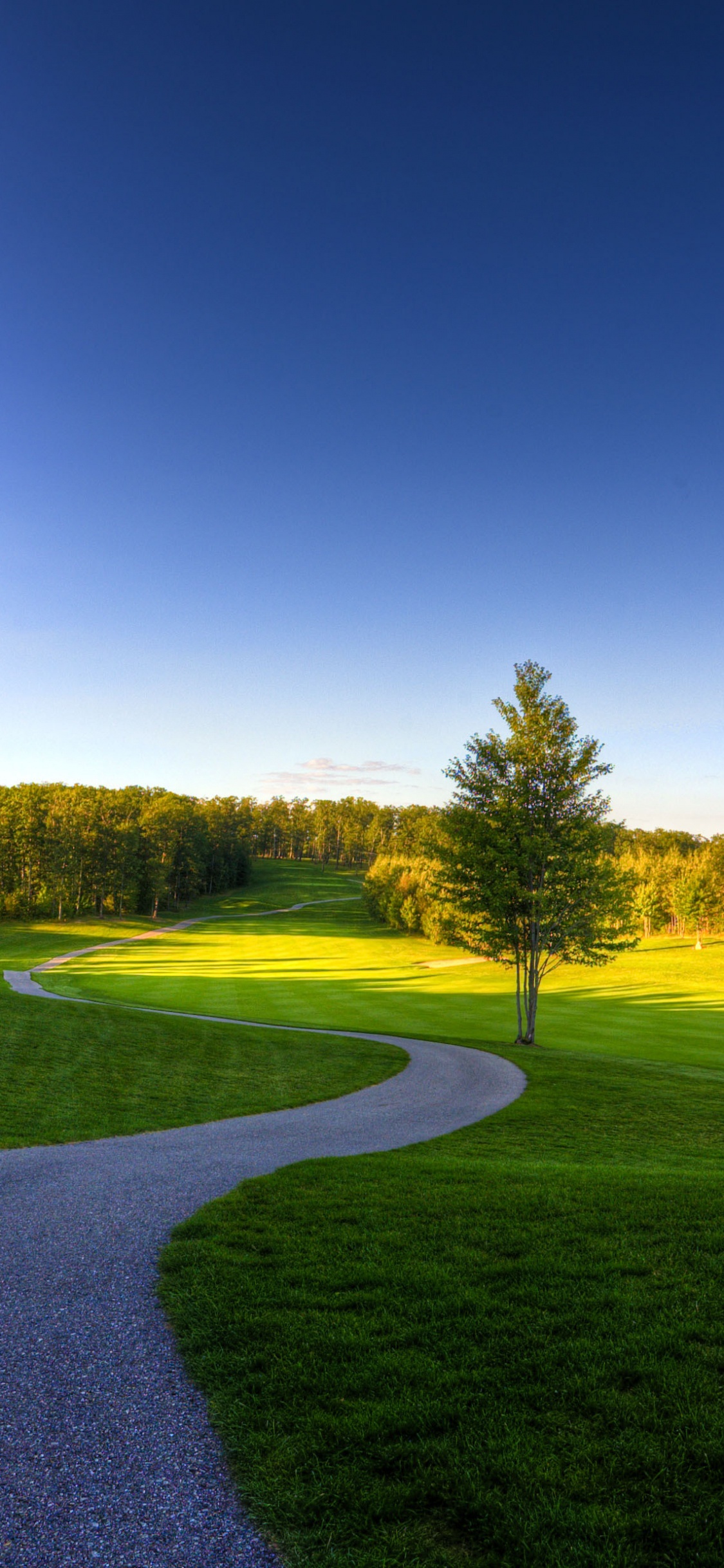 Обои пейзаж, природа, сенокосное угодье, луг, пастбище в разрешении 1125x2436