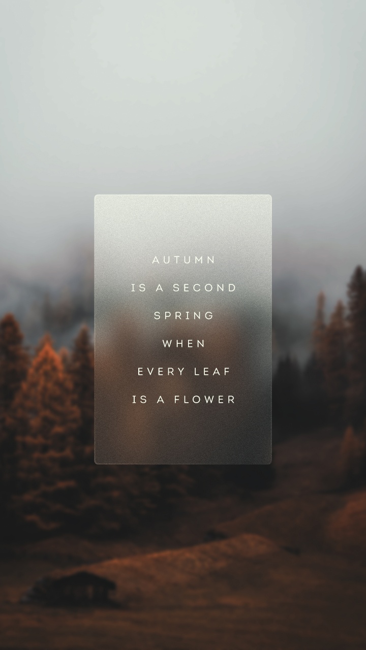 Обои утро, атмосфера, лист, дерево, пейзаж в разрешении 720x1280