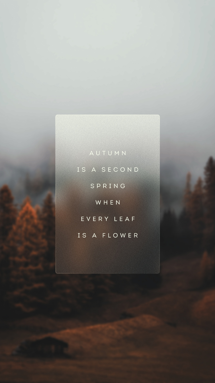 Обои утро, атмосфера, лист, дерево, пейзаж в разрешении 750x1334