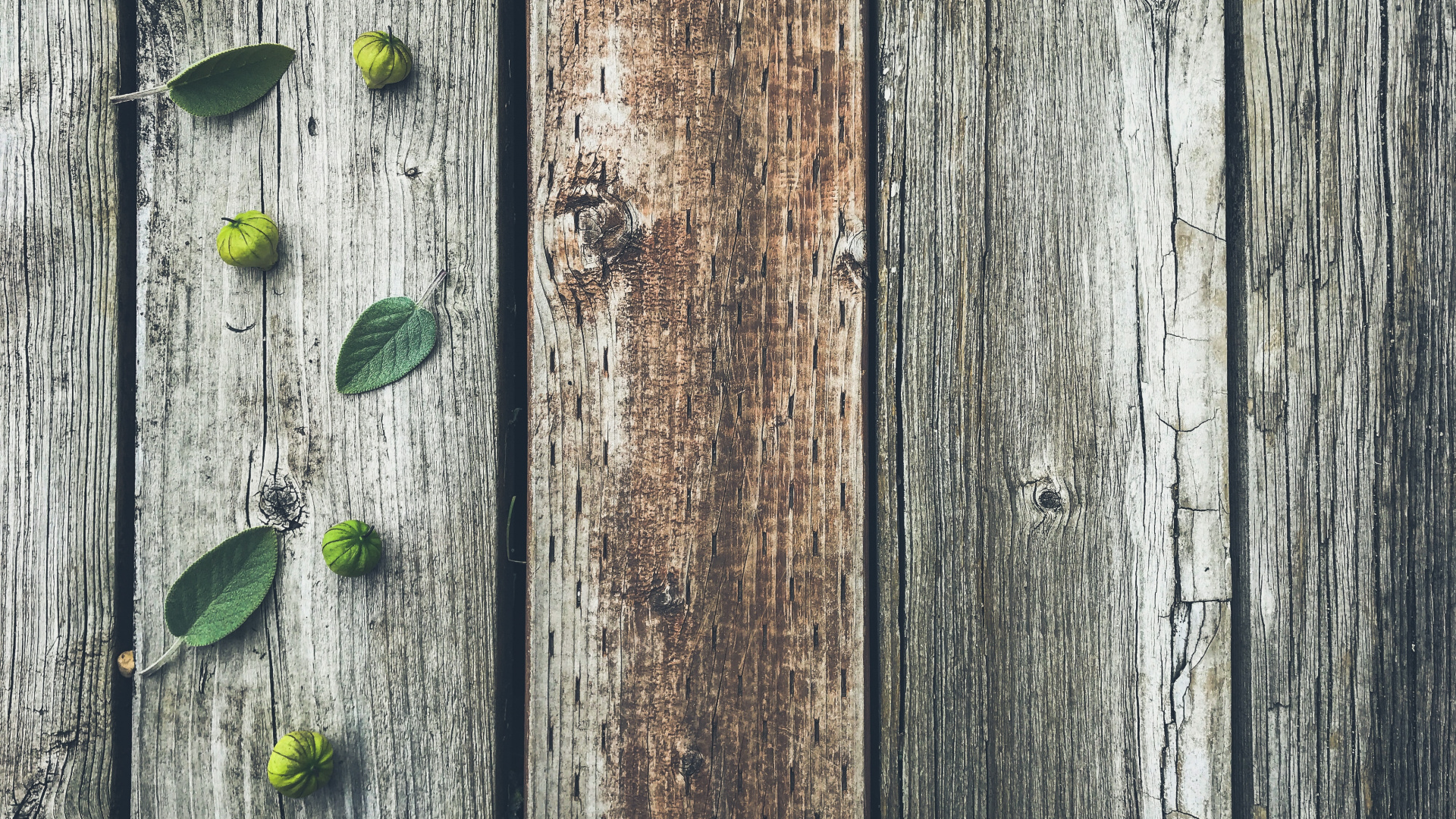 Обои древесина, текстура, планка, дерево, зеленый в разрешении 1920x1080
