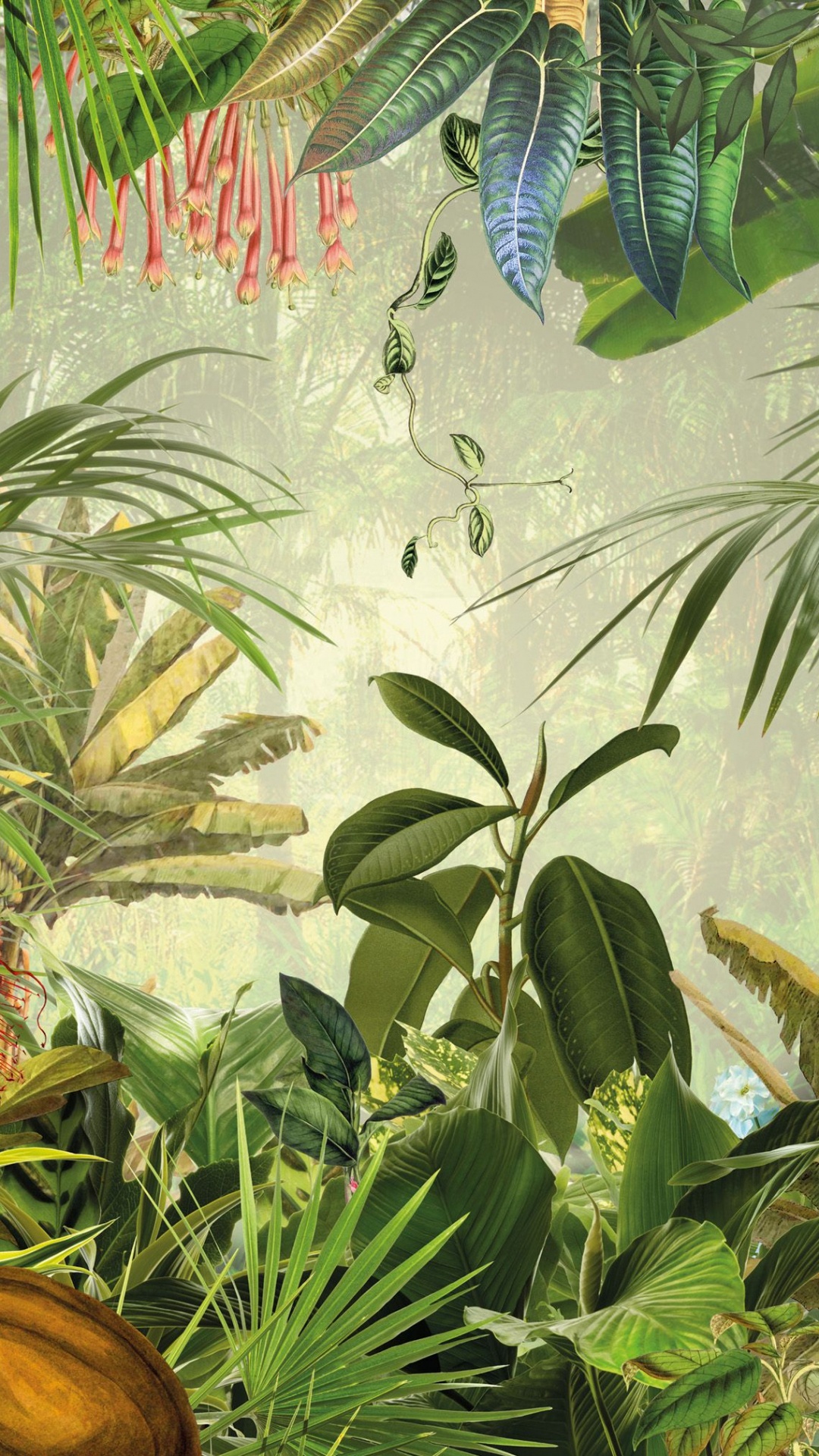 Обои фреска, стена, растительность, джунгли, растение в разрешении 1080x1920