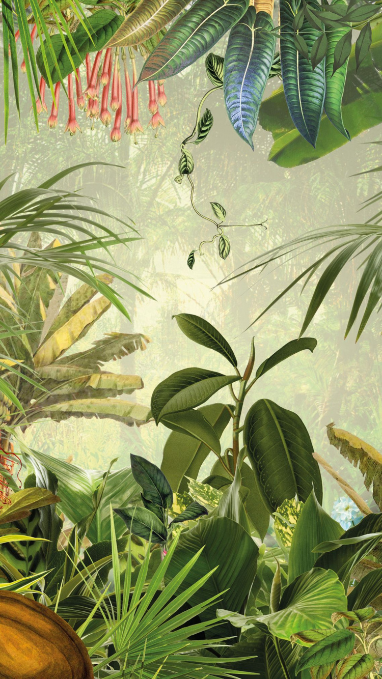 Обои фреска, стена, растительность, джунгли, растение в разрешении 750x1334