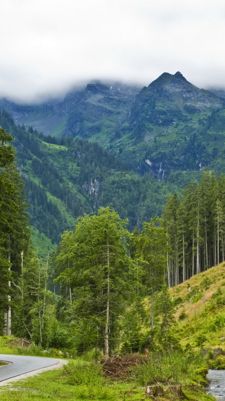 Обои Тайга, Восточно-Сибирской тайги, горный рельеф, гора, природа в разрешении 750x1334