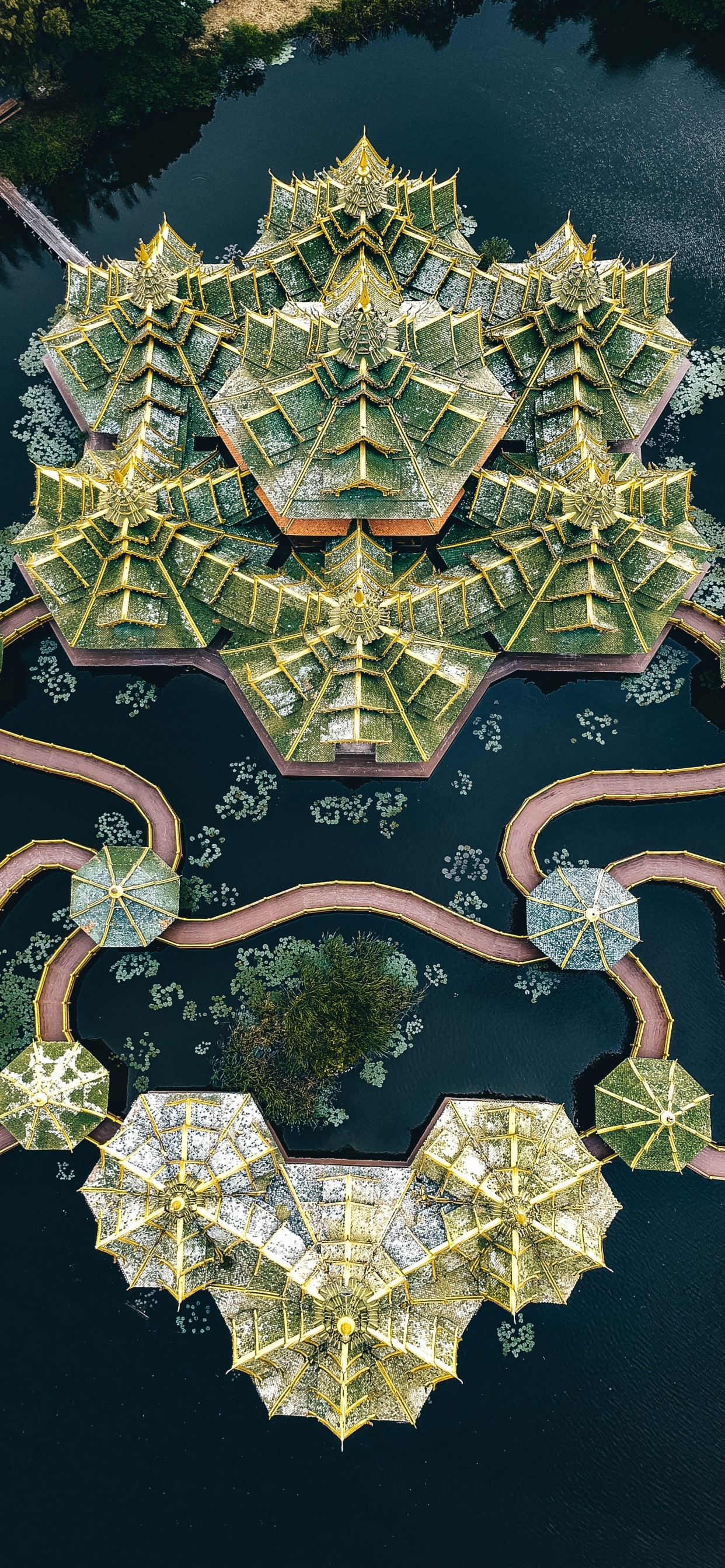 Обои дружба, множество, лодка, зеленый, растение в разрешении 1242x2688